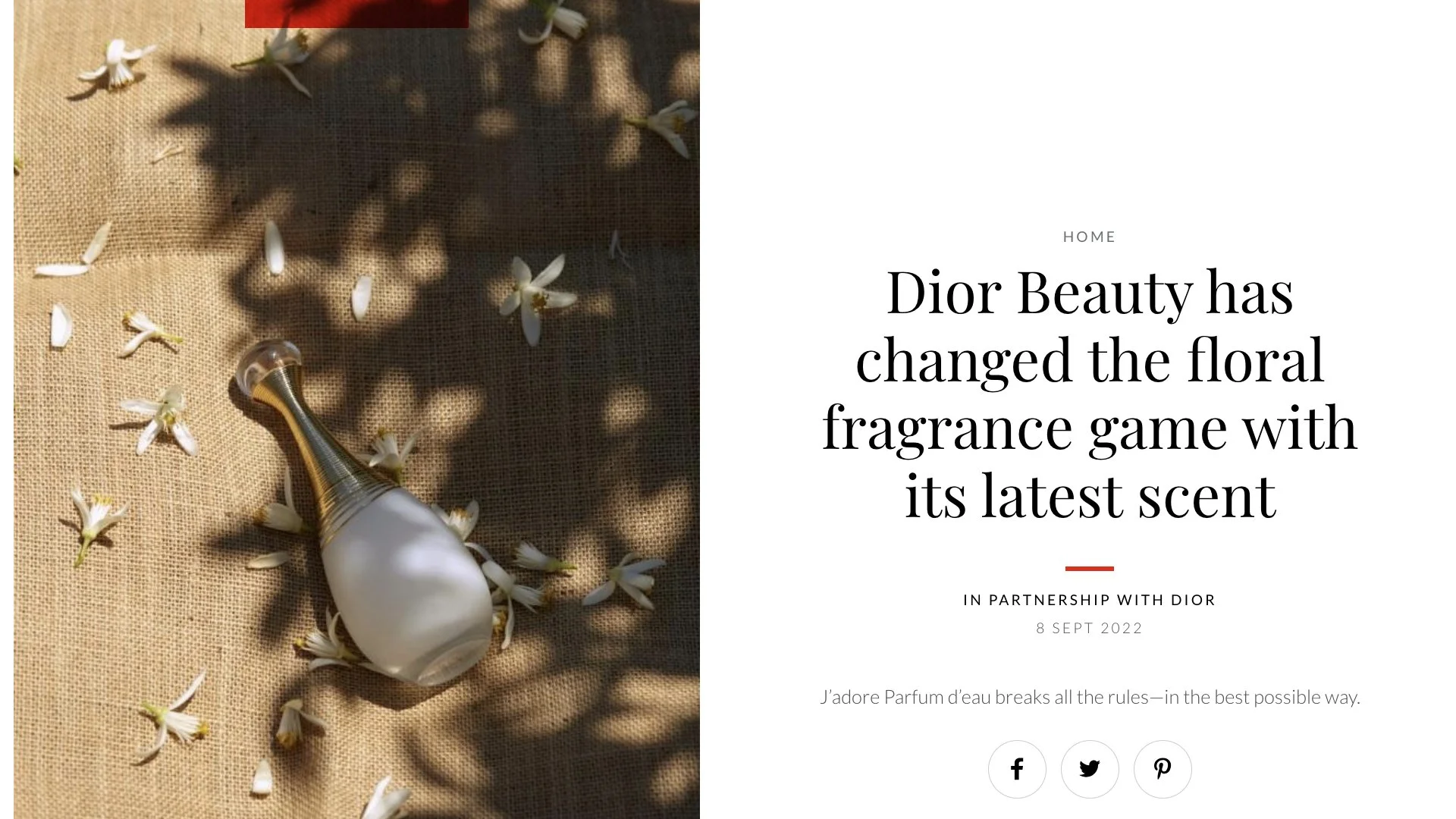 New Project - 2023-11-22T161806.845.jpg