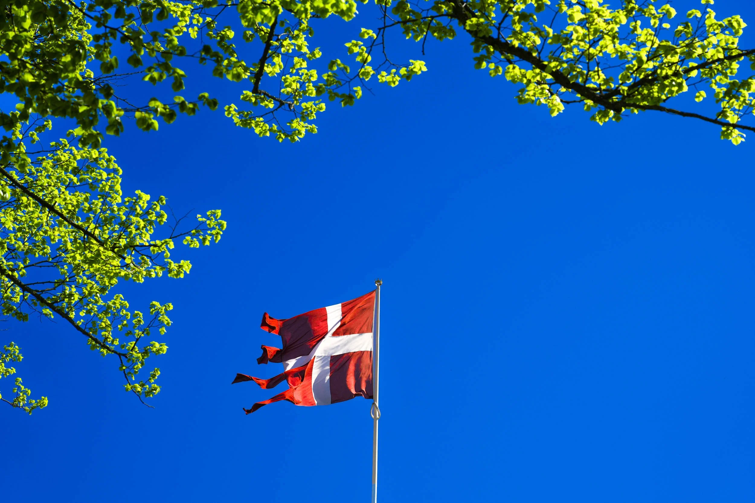 Wilma’s Testwochen Herbst 26