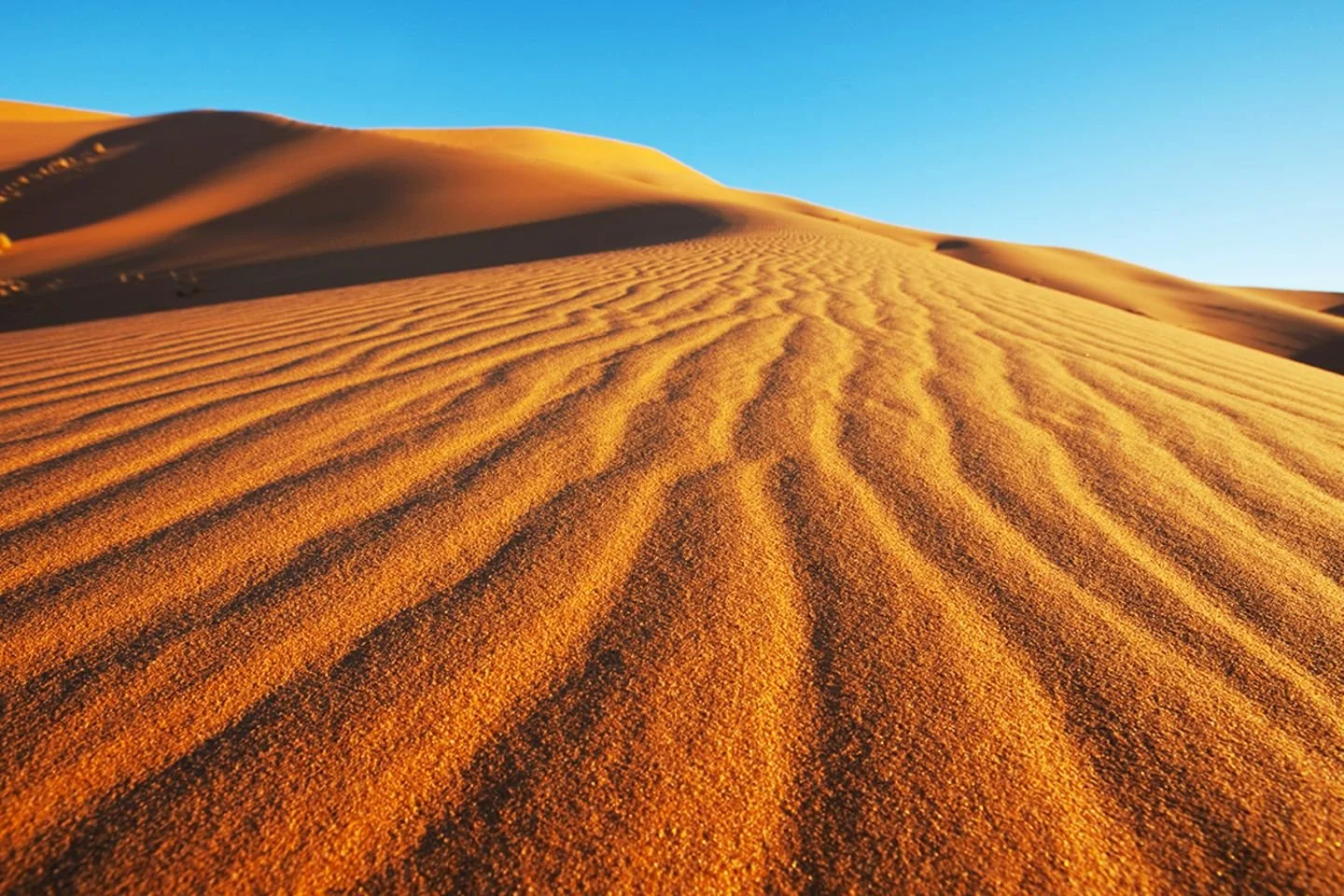 Wilma’s Wüstenabenteuer