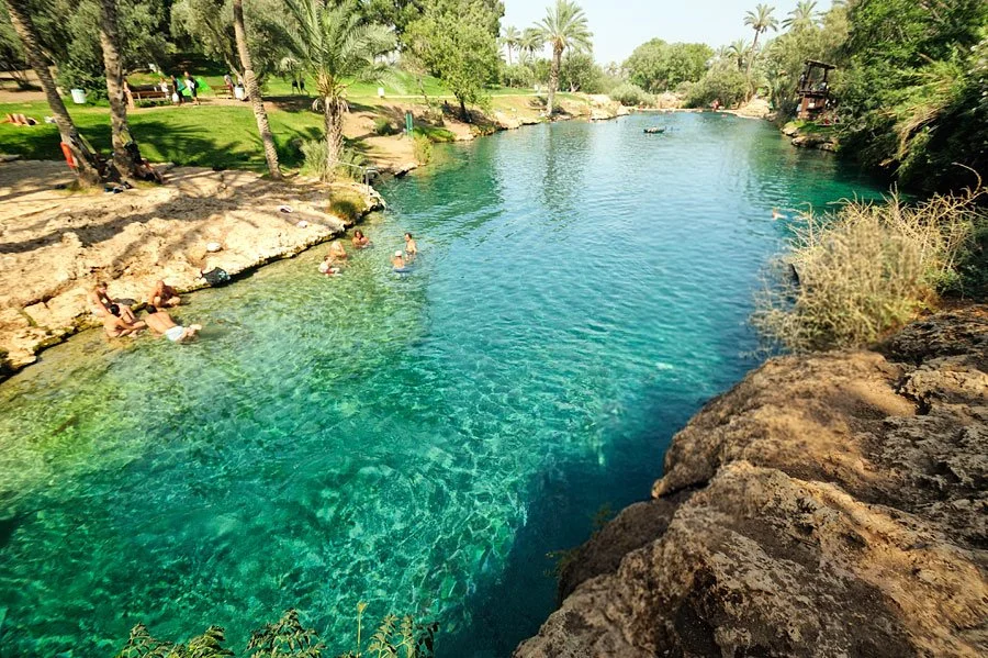 سشنارثا.jpg