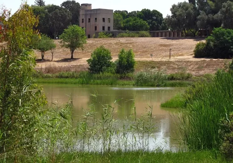 Ras_al__Ayn-98693.webp