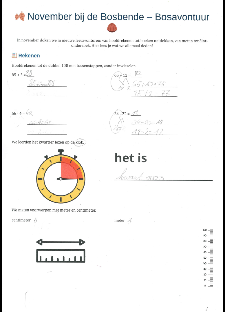 Bosbende november 2025