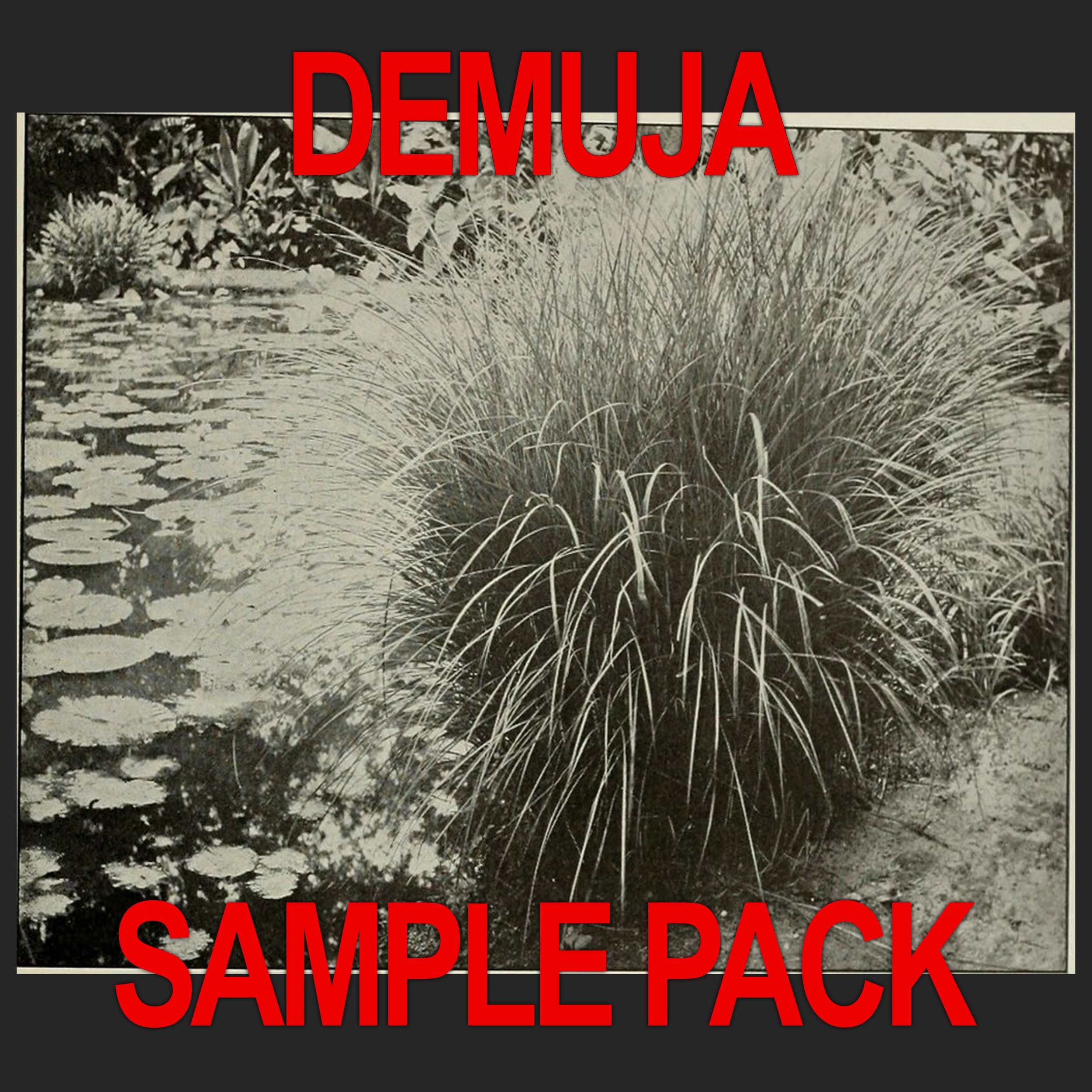 DEMUJA SAMPLE PACK