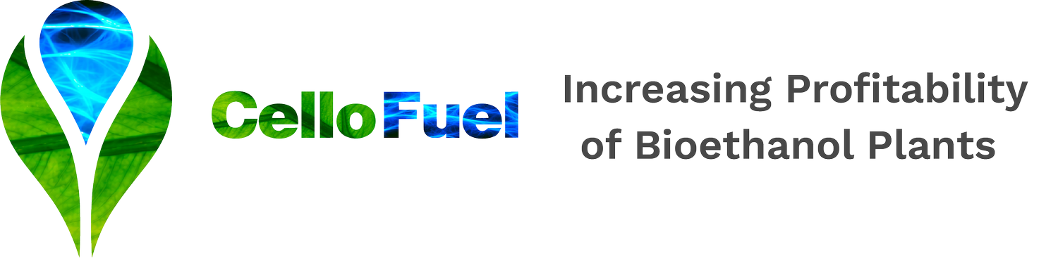    Increasing Profitability of Bioethanol Plants with CelloFuel™
