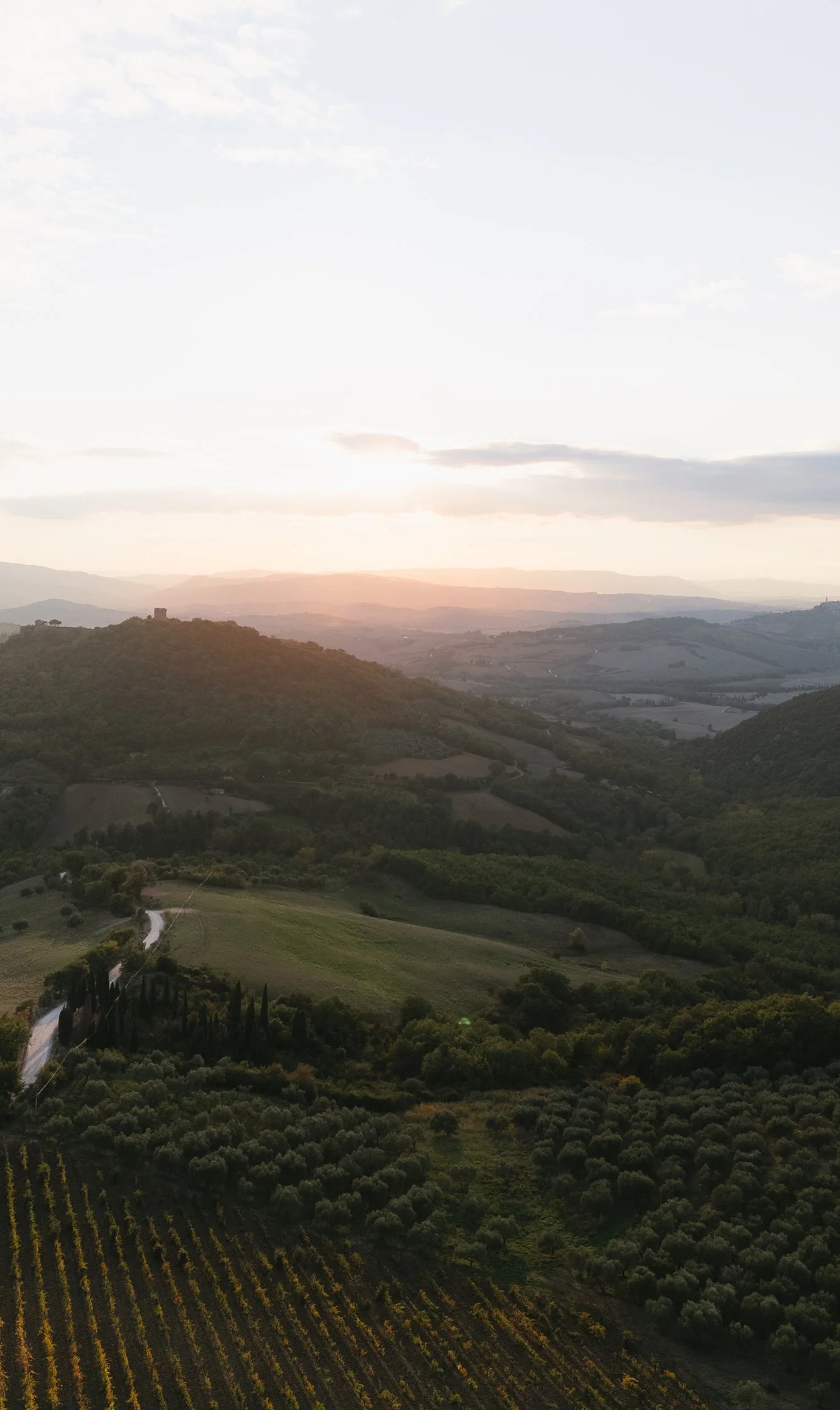 Golden Tuscan hills and cypress trees glowing in the autumn light near Montepulciano.