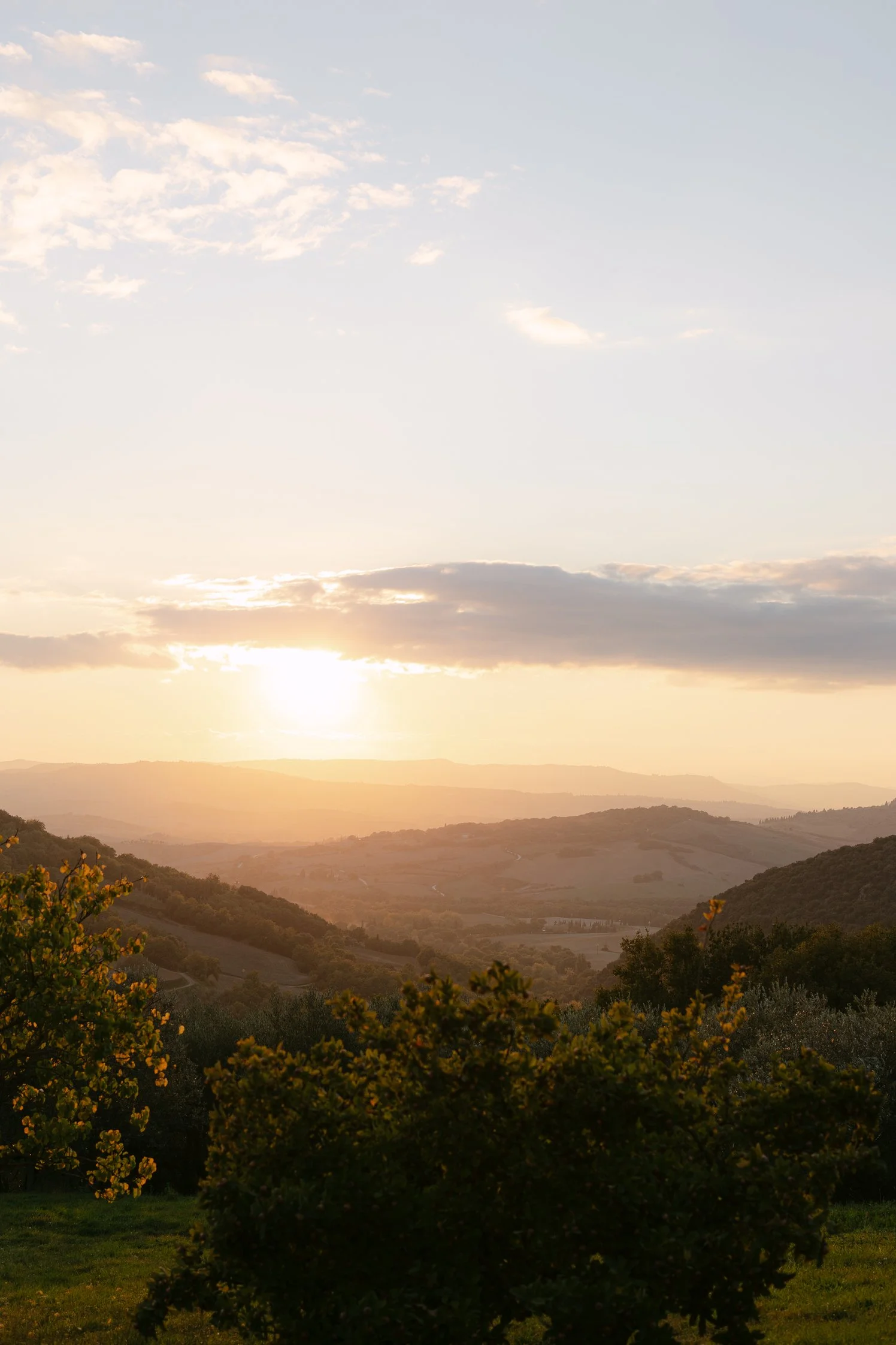 Golden Tuscan hills and cypress trees glowing in the autumn light near Montepulciano.