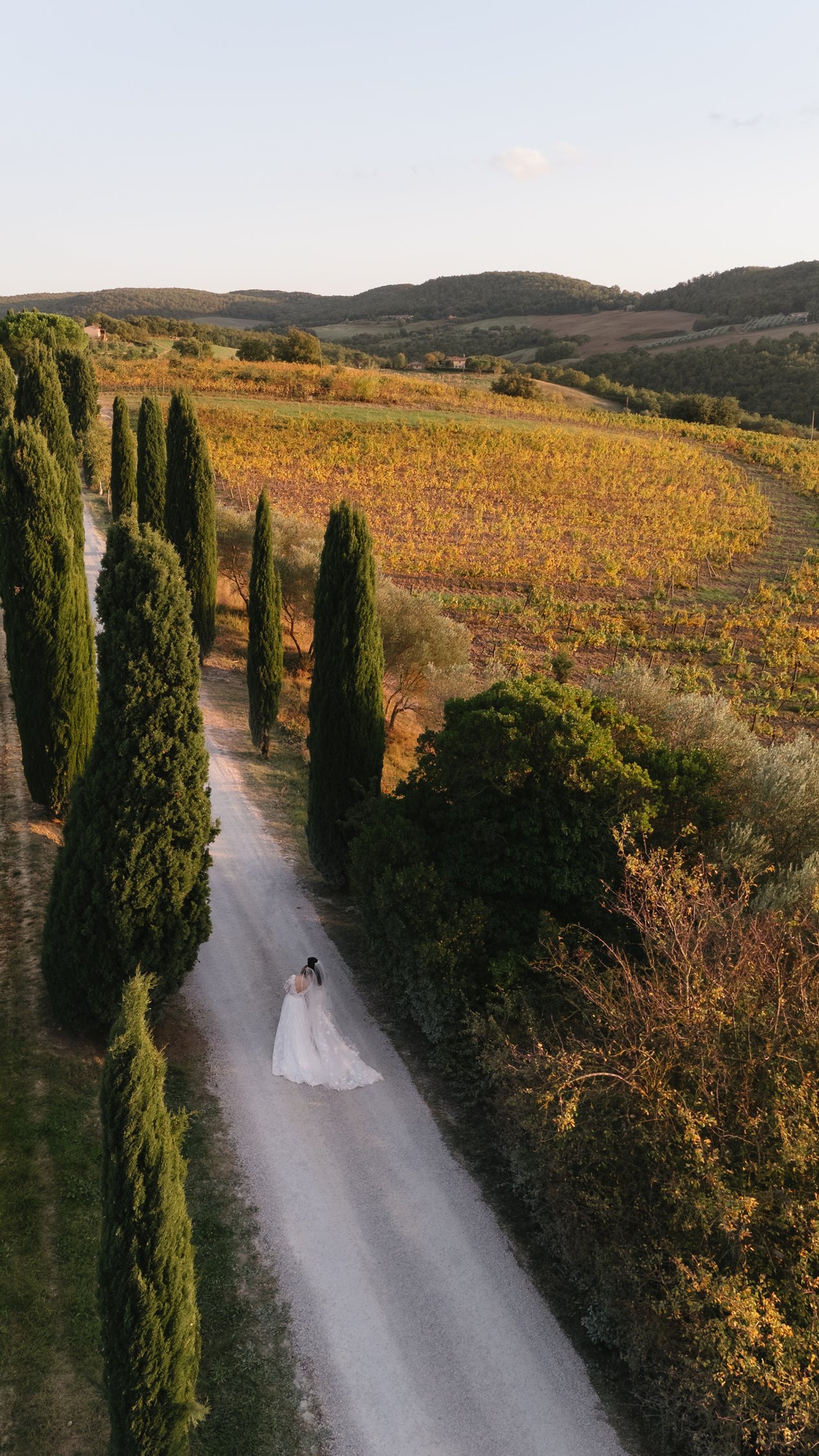 Two brides walking between cypress trees at sunset in Tuscany. Same Sex wedding in Tuscany