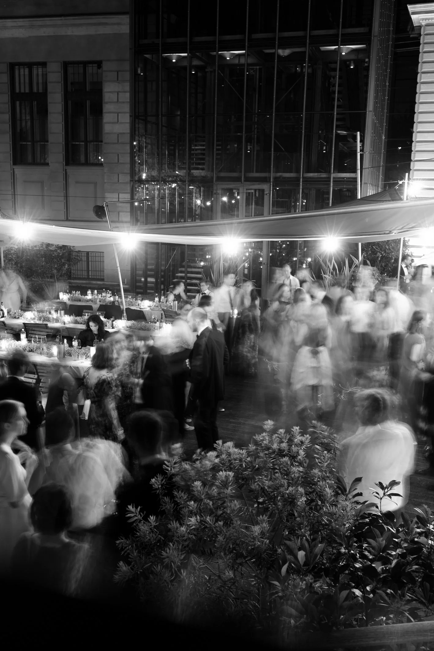 salon-plafond-wedding-party-2.jpg