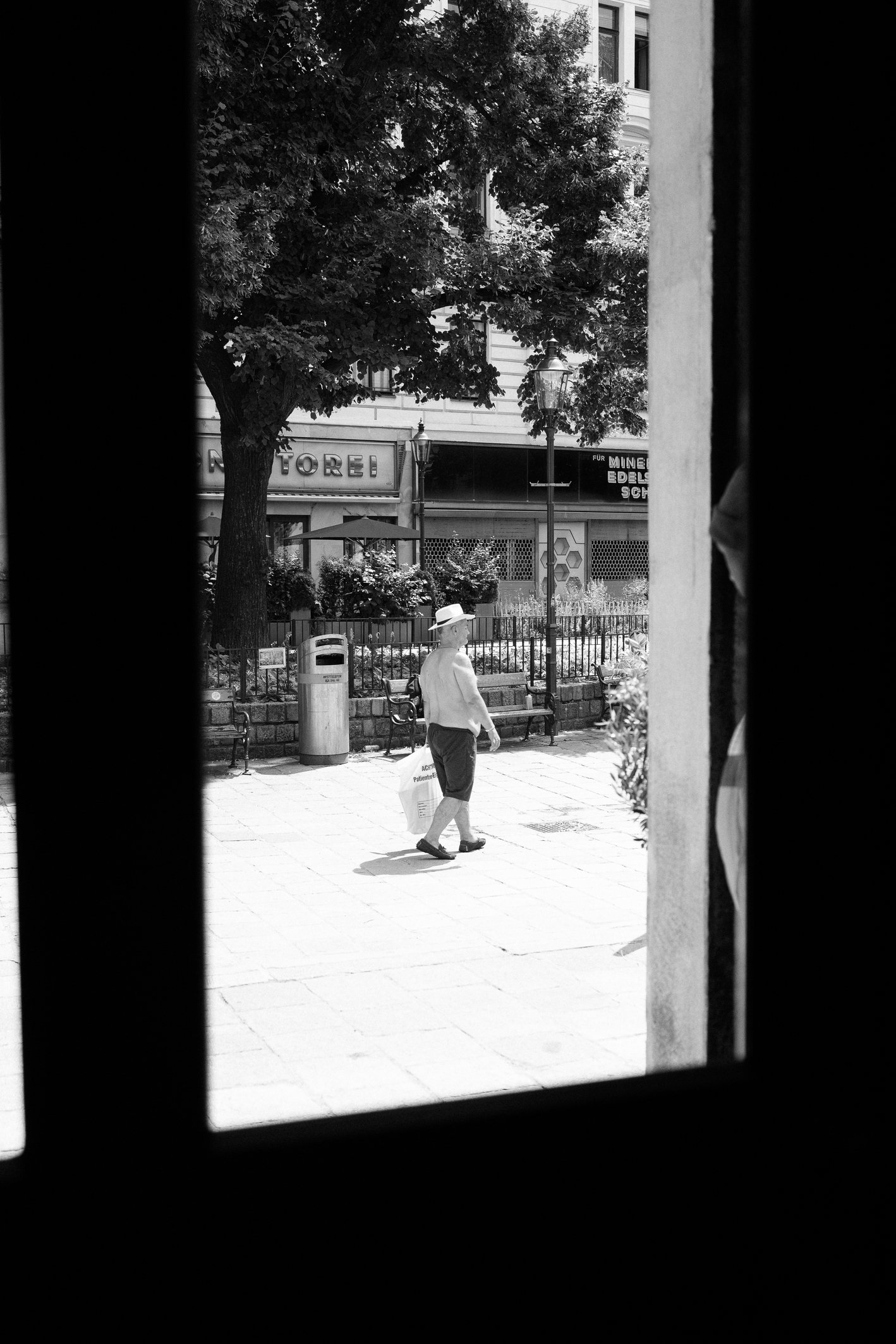IMG_9060.jpg