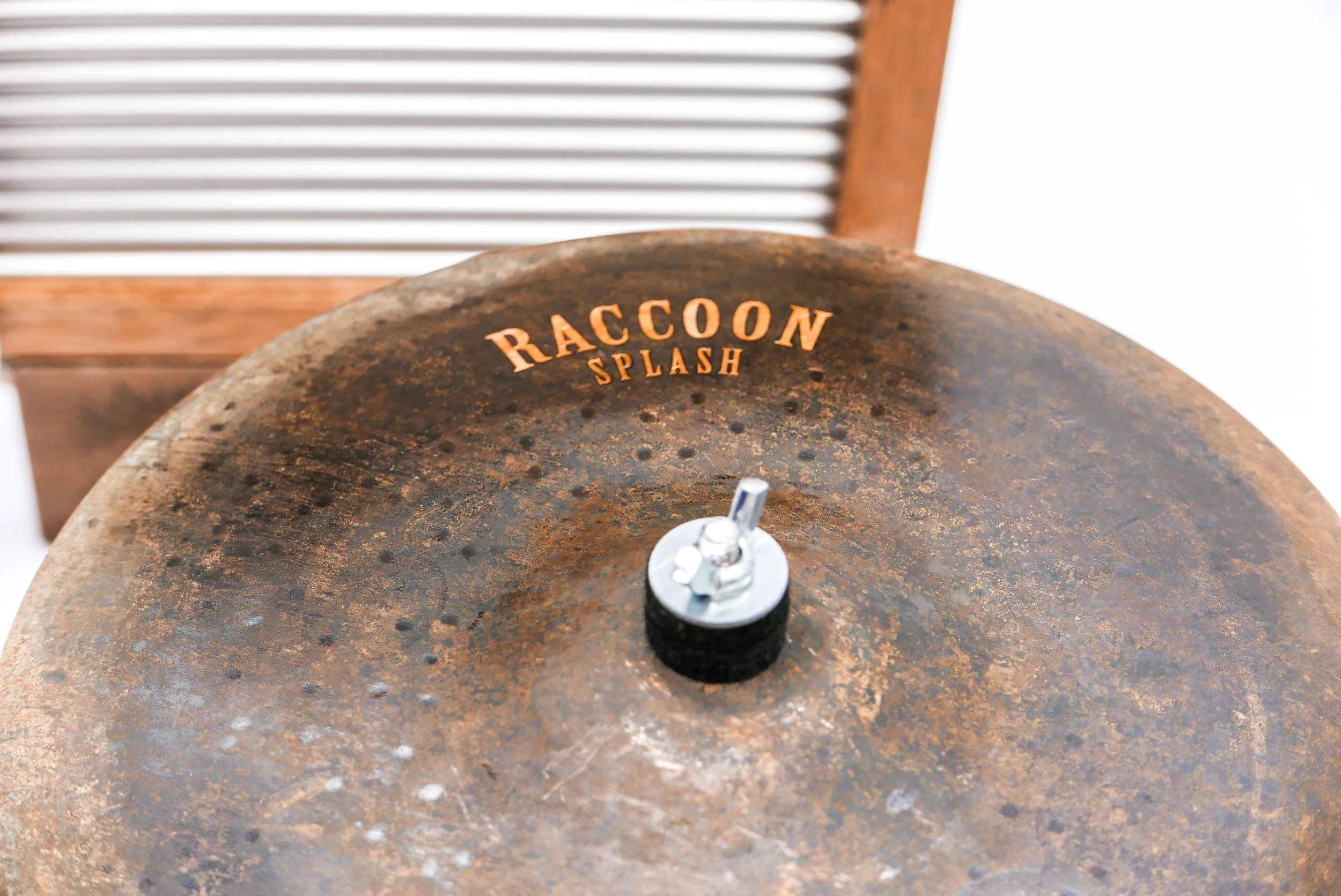 RACCOON-6.jpg