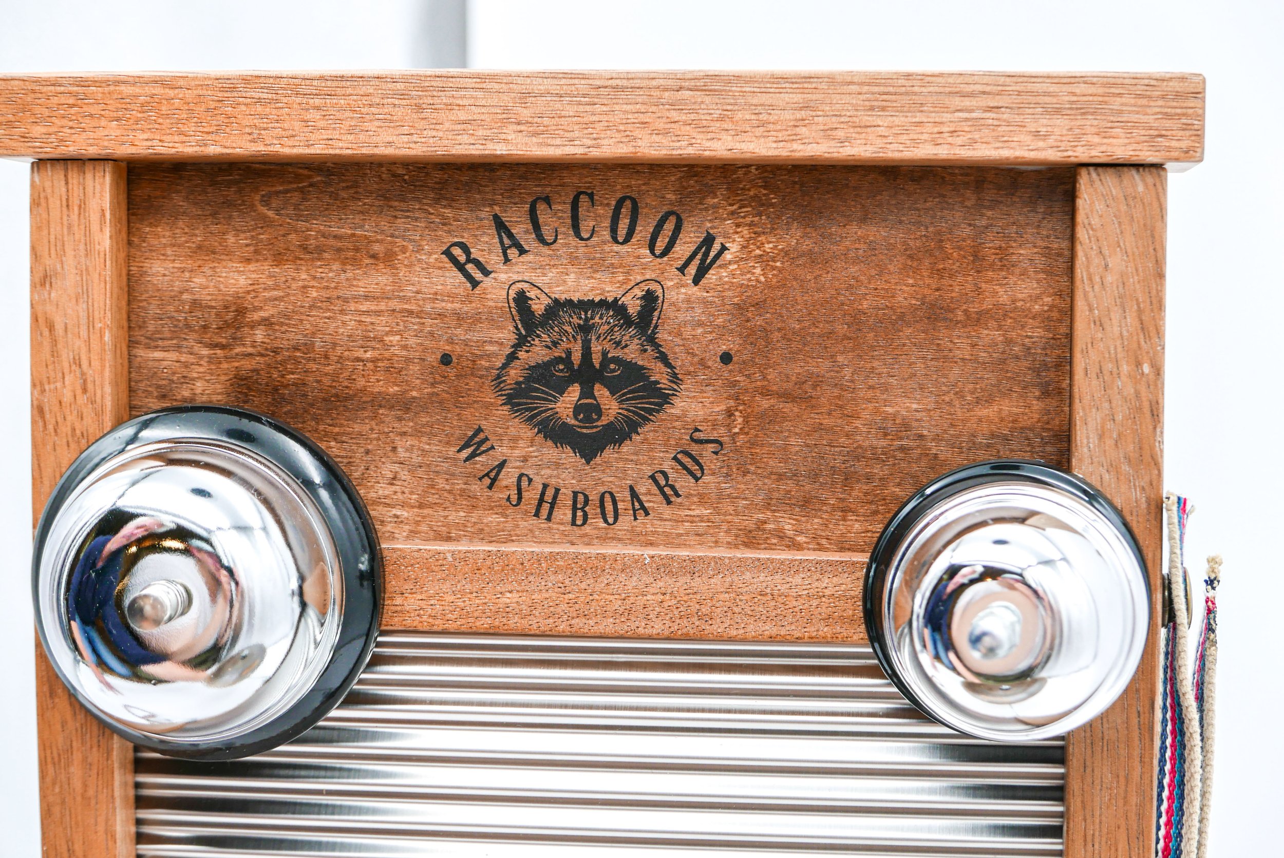 RACCOON-3.jpg