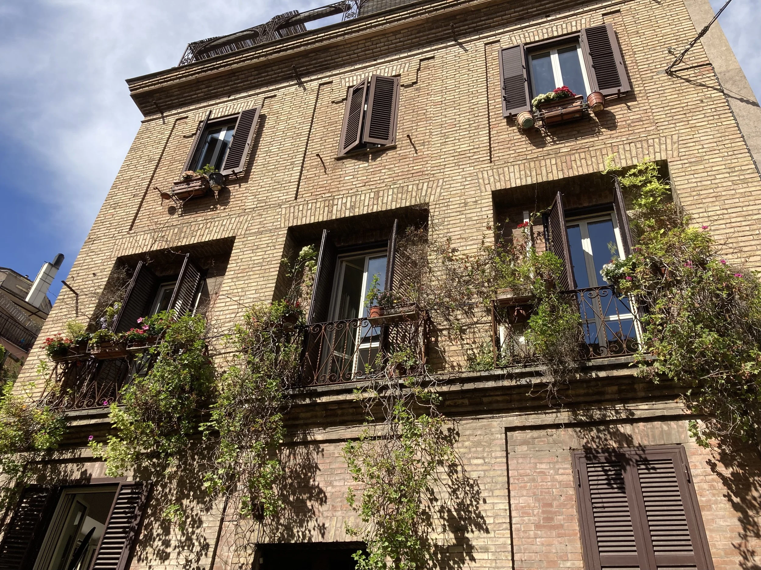 General - plants on balconies.jpeg