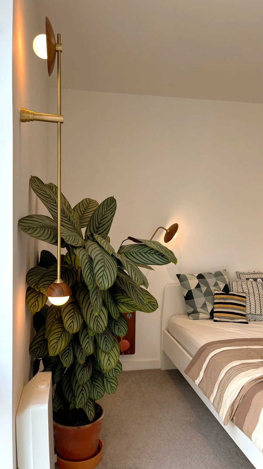 Modern bedroom interior with a leafy potted plant, wall-mounted sconce lights, a bed with patterned pillows, and a striped bedspread.