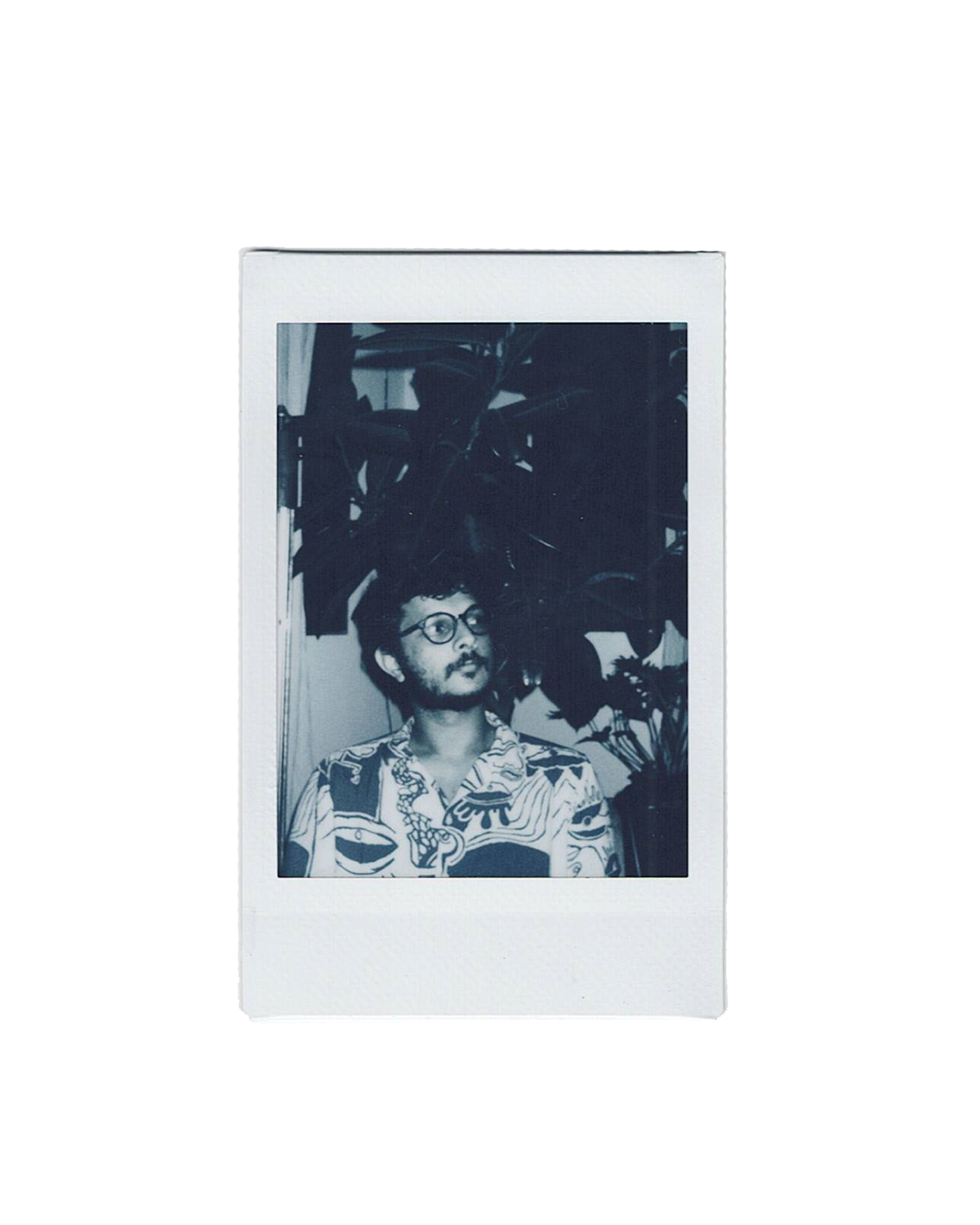 Polaroid photo of a man with glasses and a patterned shirt, standing in front of houseplants, looking to the side.