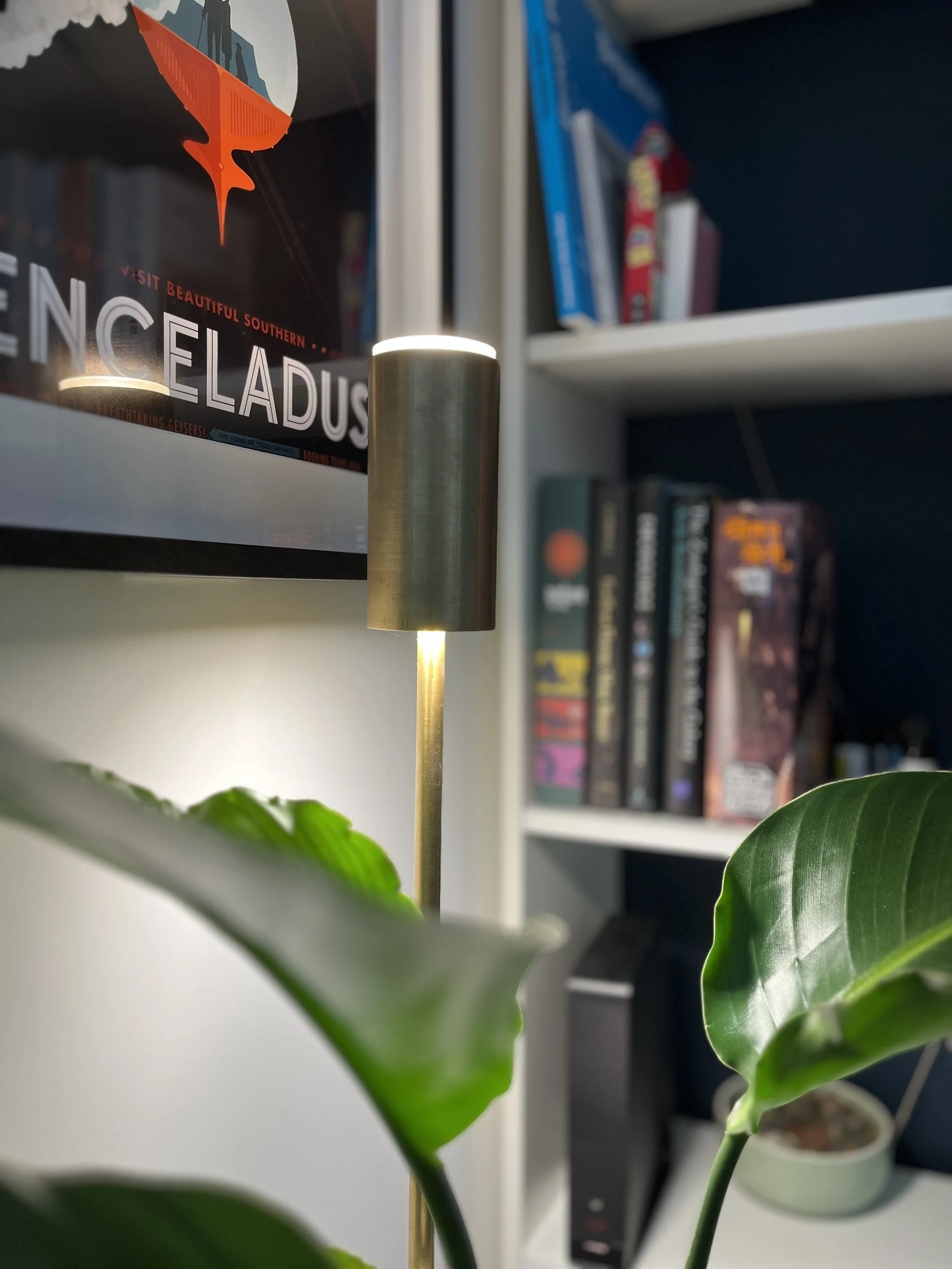 Lamp and plant near bookshelf with books and a poster on the wall.