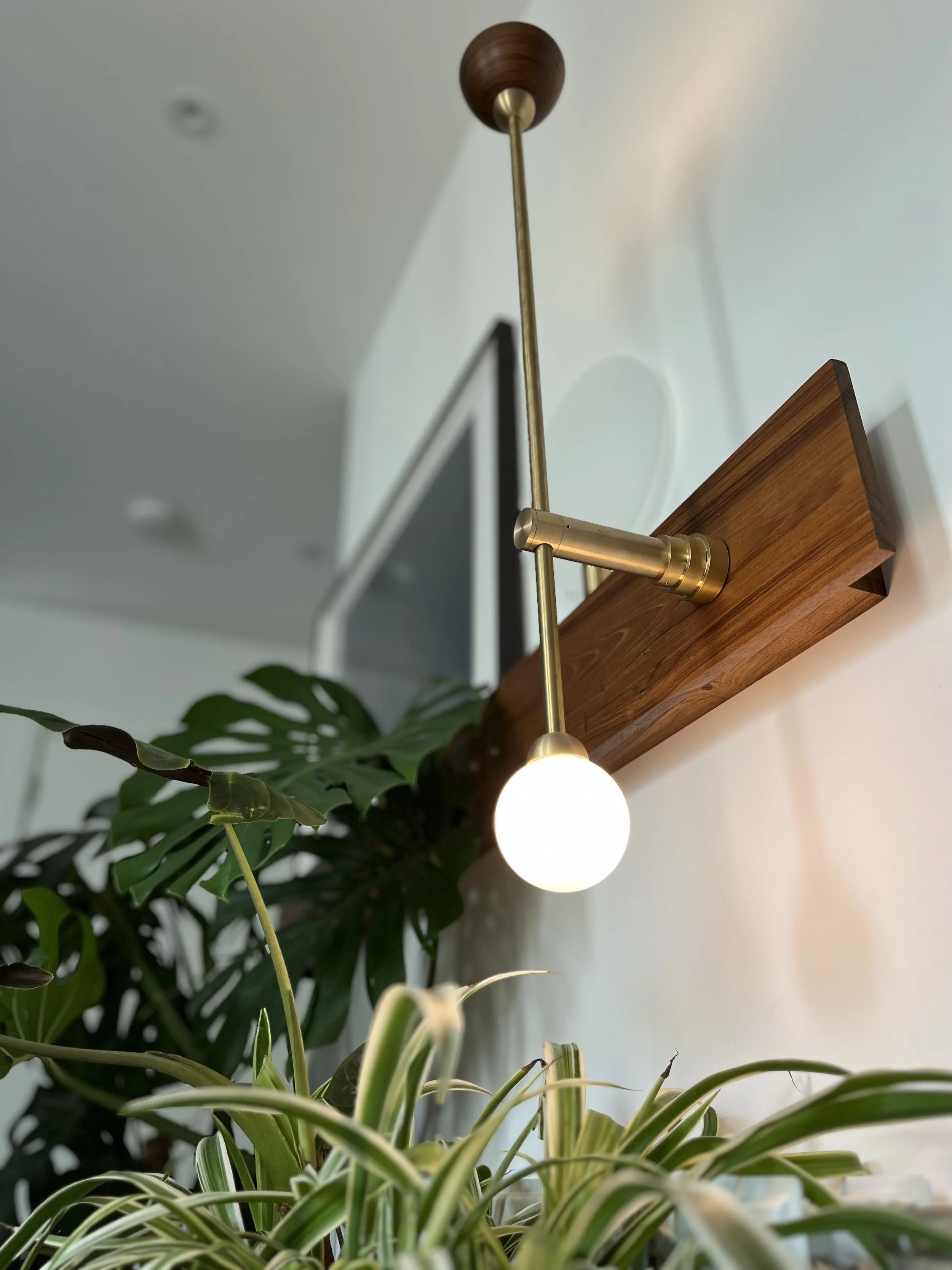 Indoor plants under a modern wall-mounted brass light fixture with a wooden base, illuminating a white bulb.