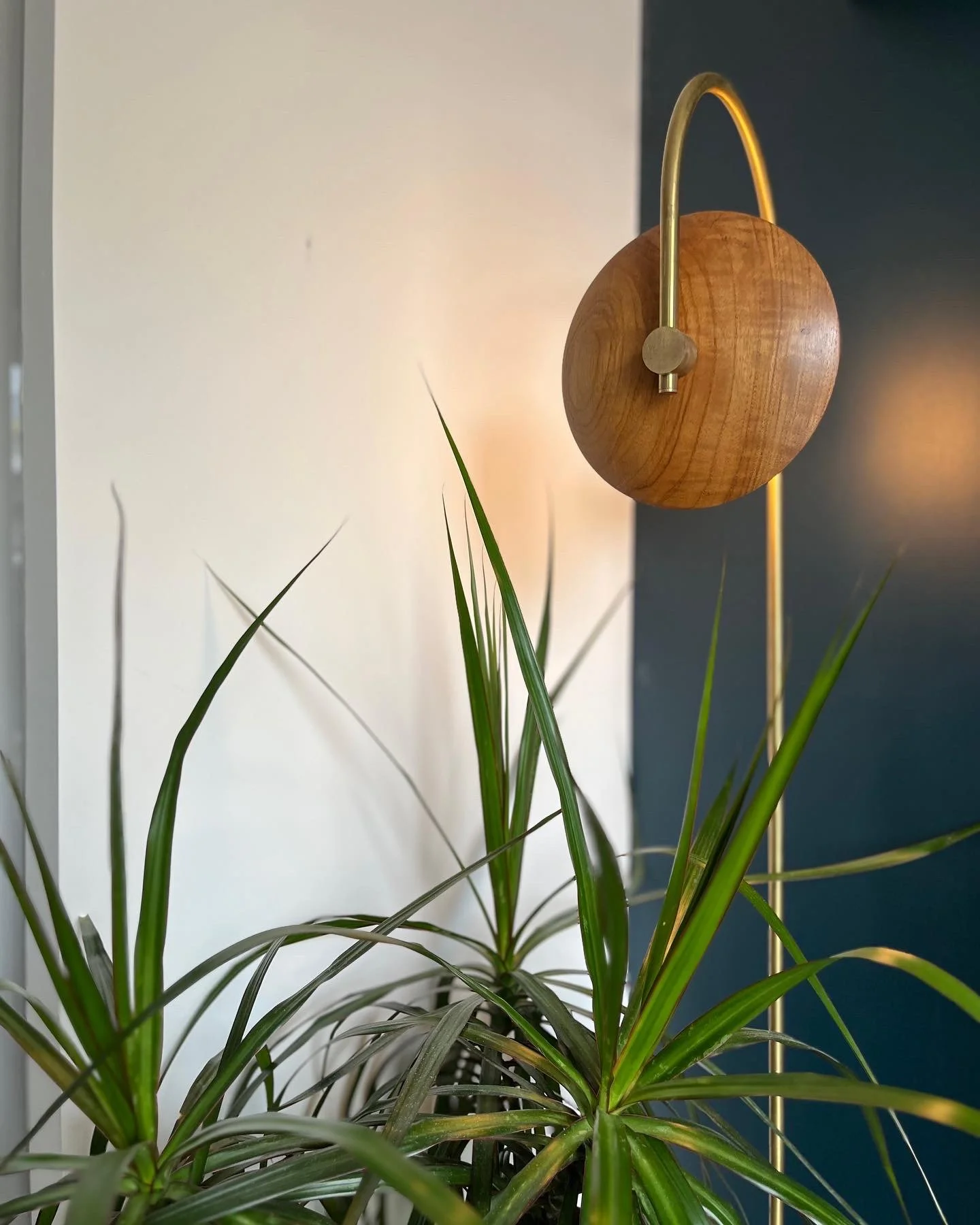 Indoor potted plants with a modern wooden and brass floor lamp against a white and green wall.