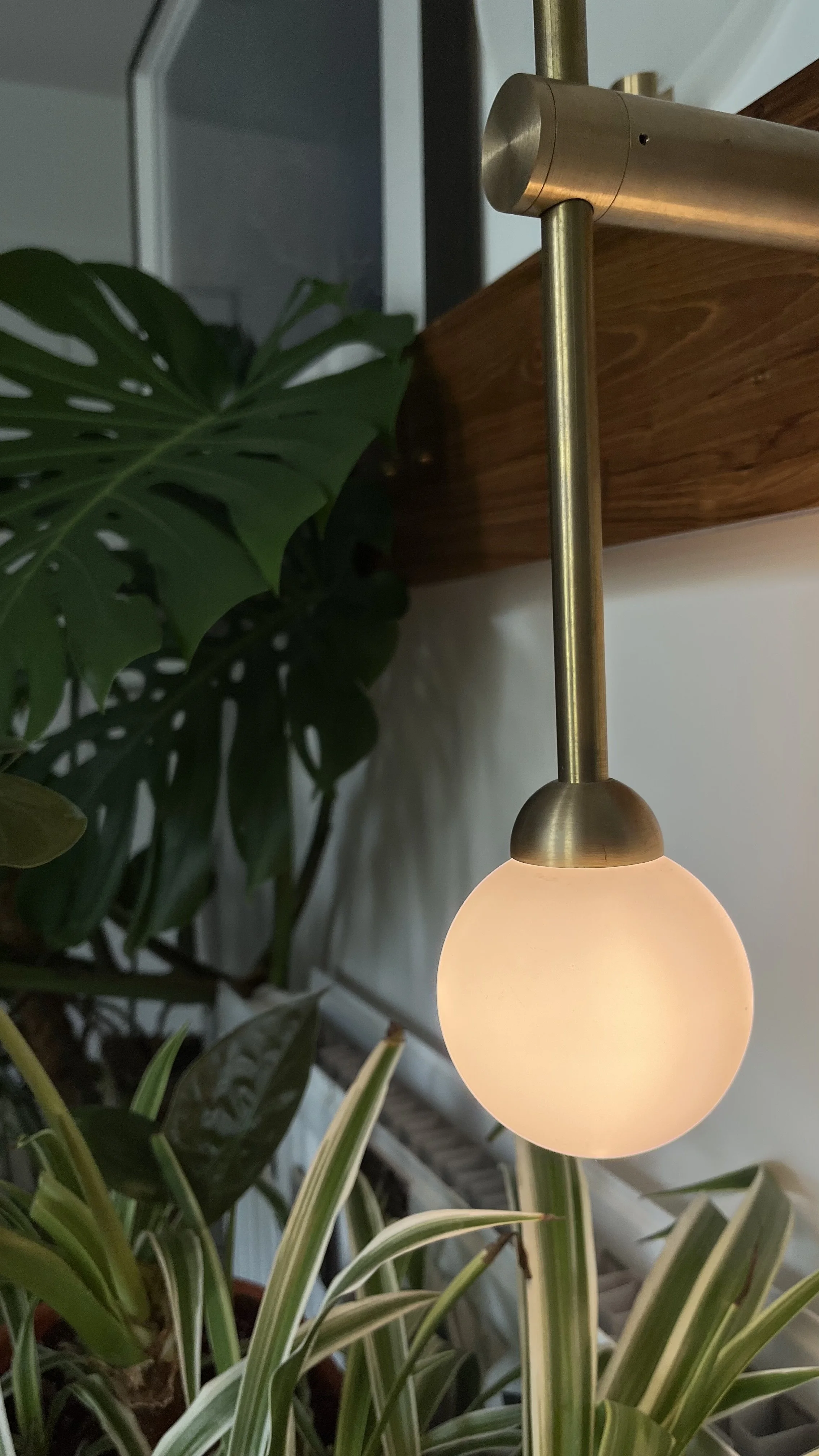 Decorative brass wall lamp with round bulb next to houseplants, indoors