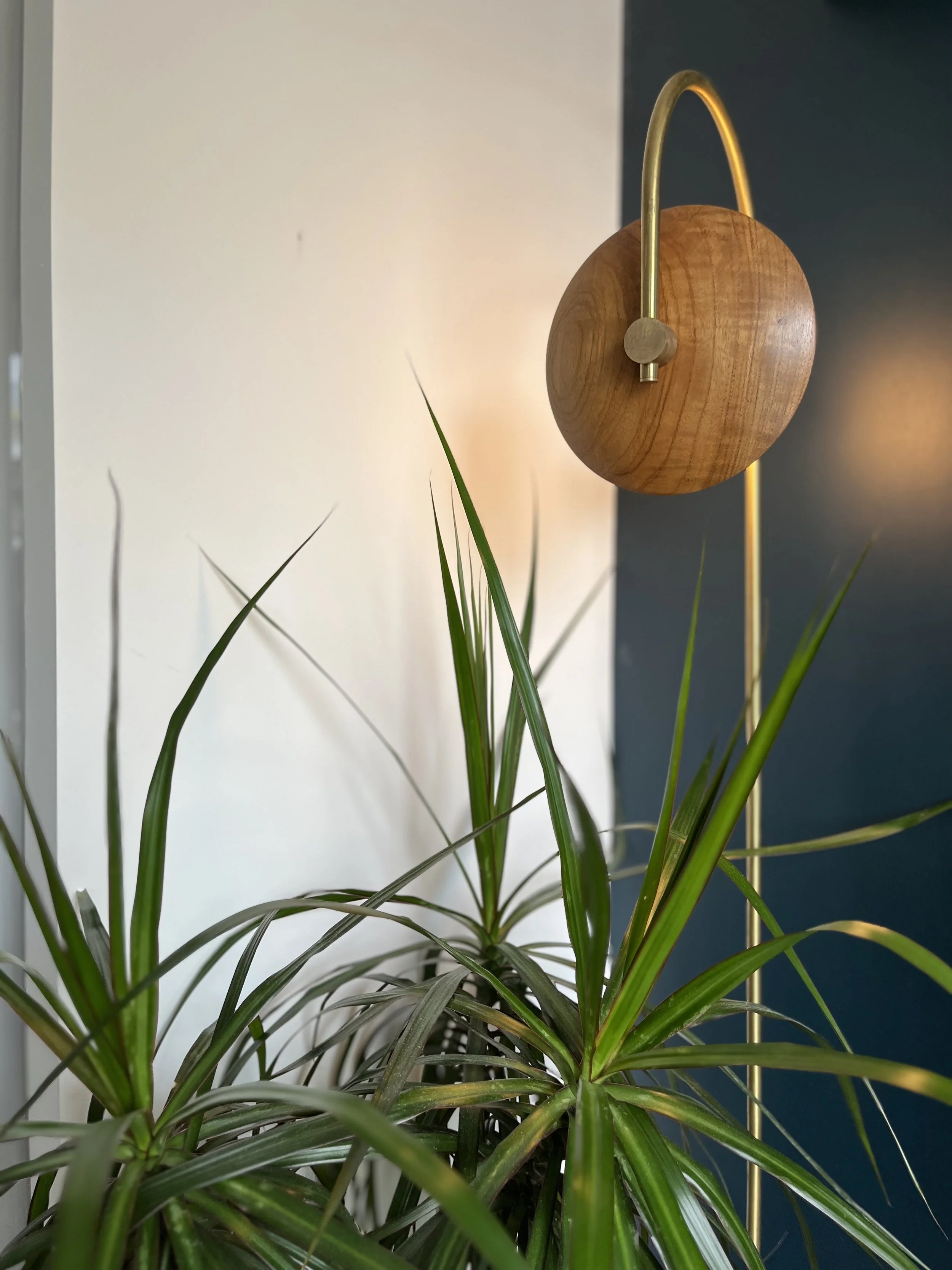 A modern floor lamp with a wooden shade and brass stand next to a dracaena plant with long green leaves, set against a contrasting white and dark wall.