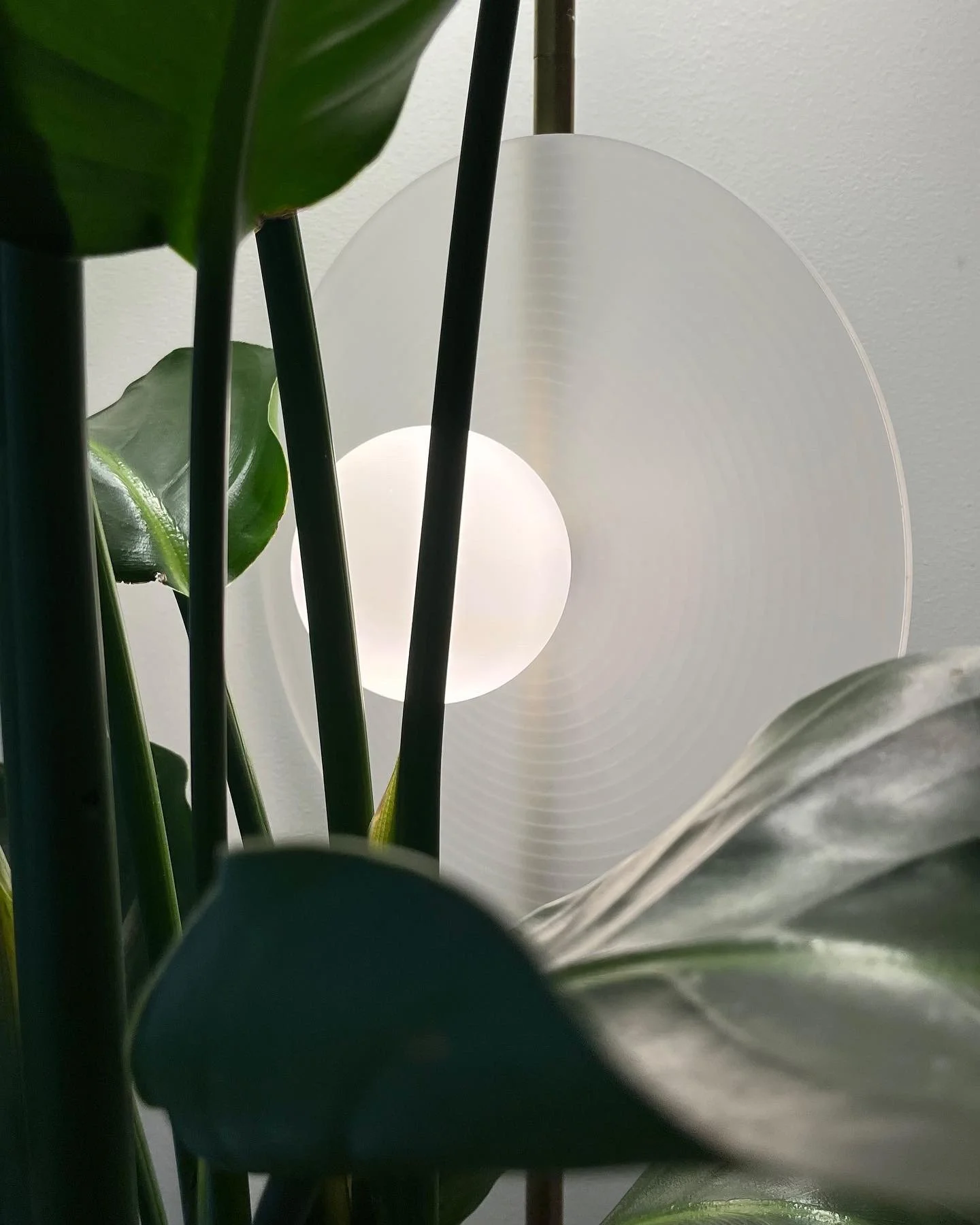 Minimalist lamp and tropical plant leaves