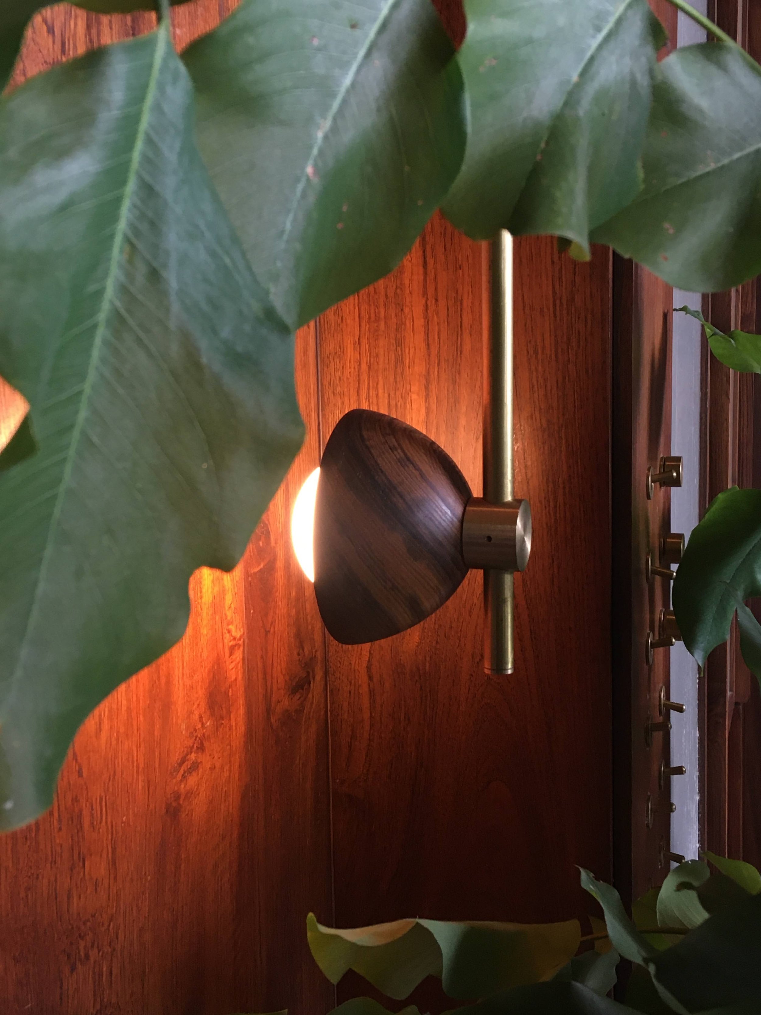 A modern wall light with a wooden accent and brass hardware is partially obscured by large green leaves, set against a wooden background.