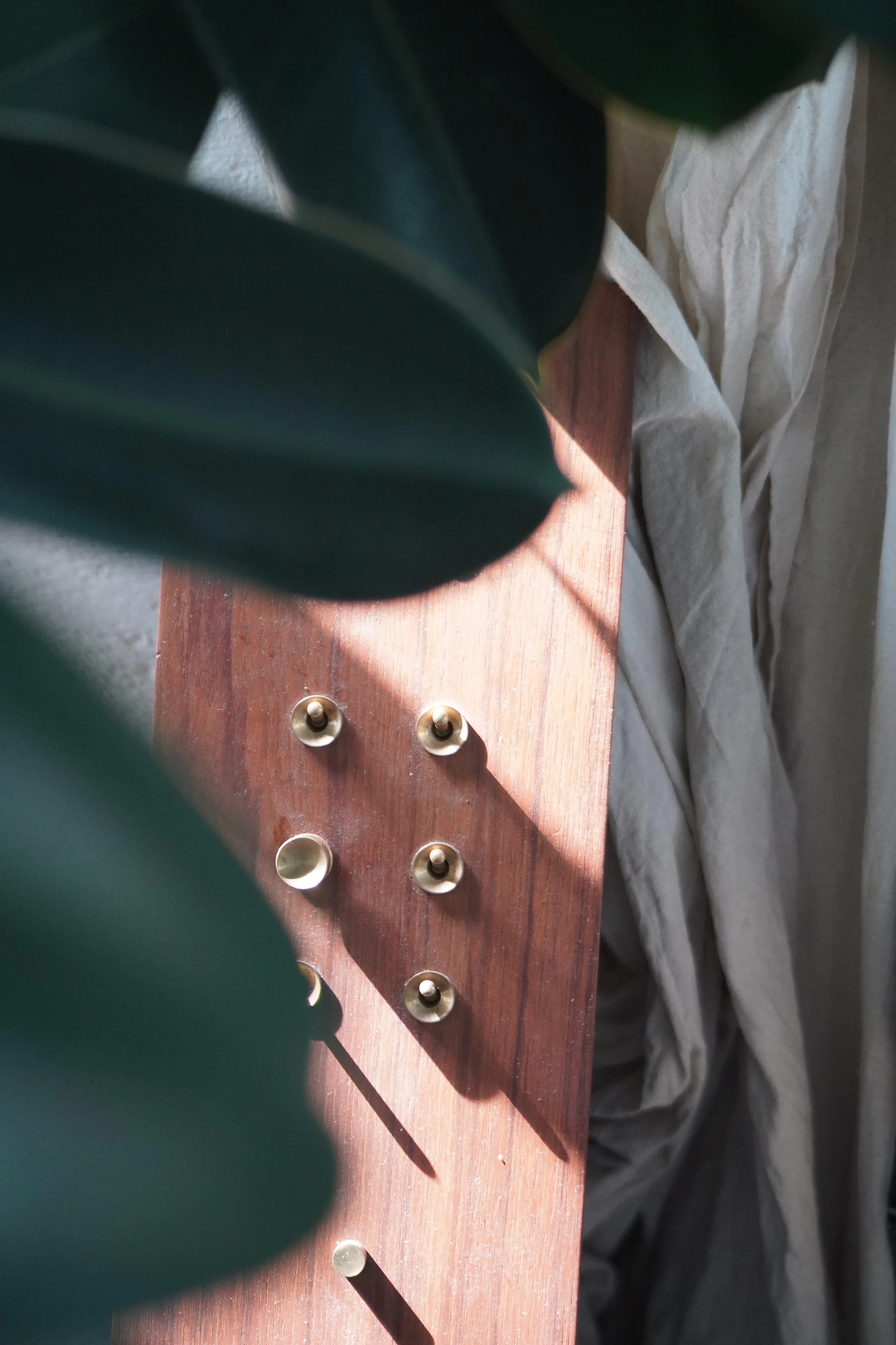 Close-up of a wooden board with metal knobs and a leafy plant partially covering it.