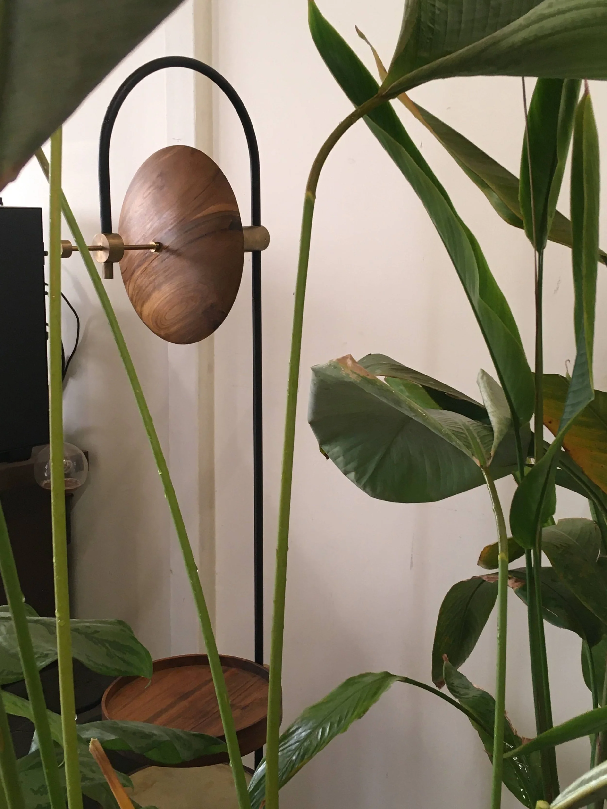 A room with green plants and a wooden clock on a black metal stand.