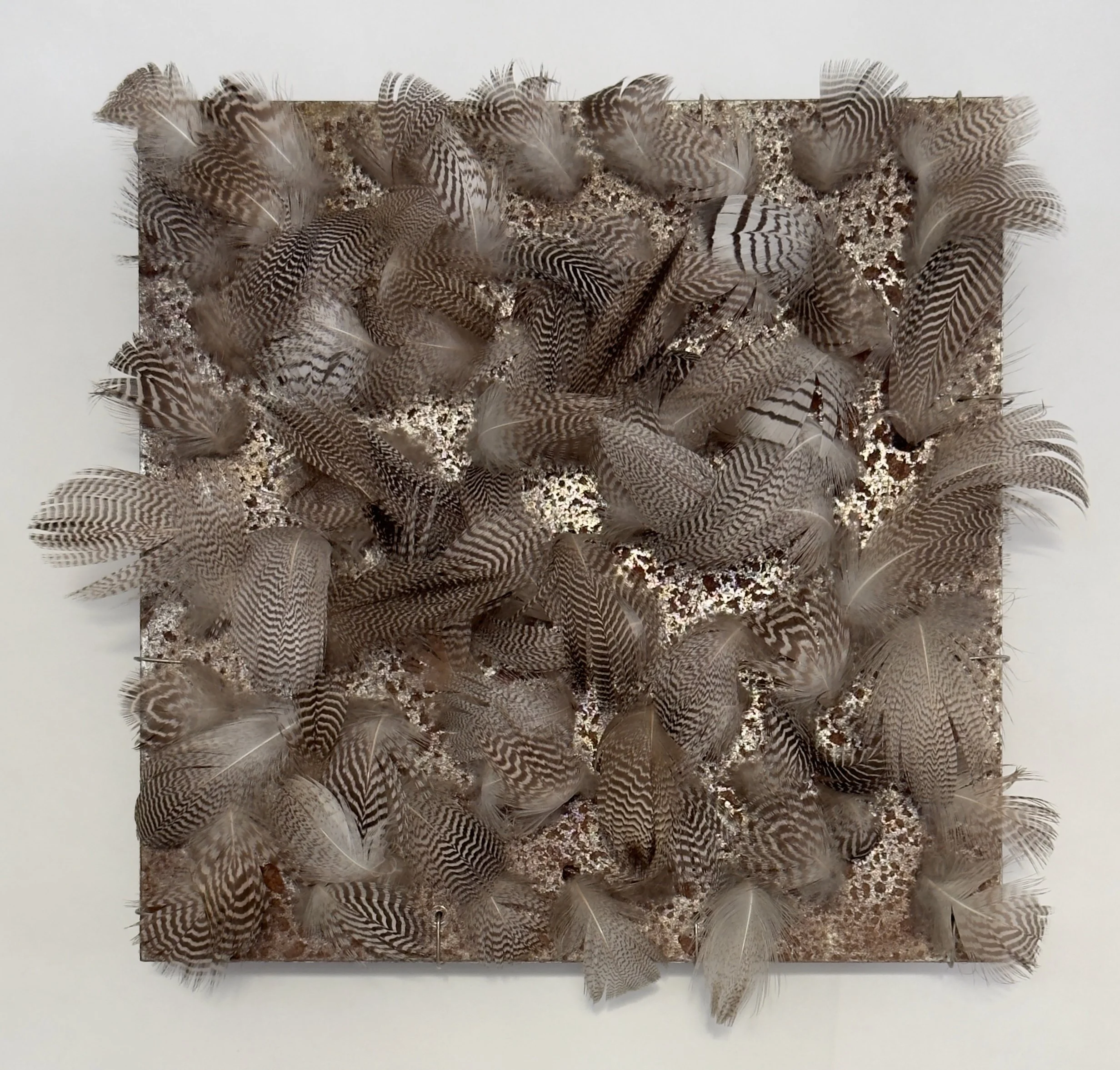 Fjør, stål. 
B 20 x H 20 cm.