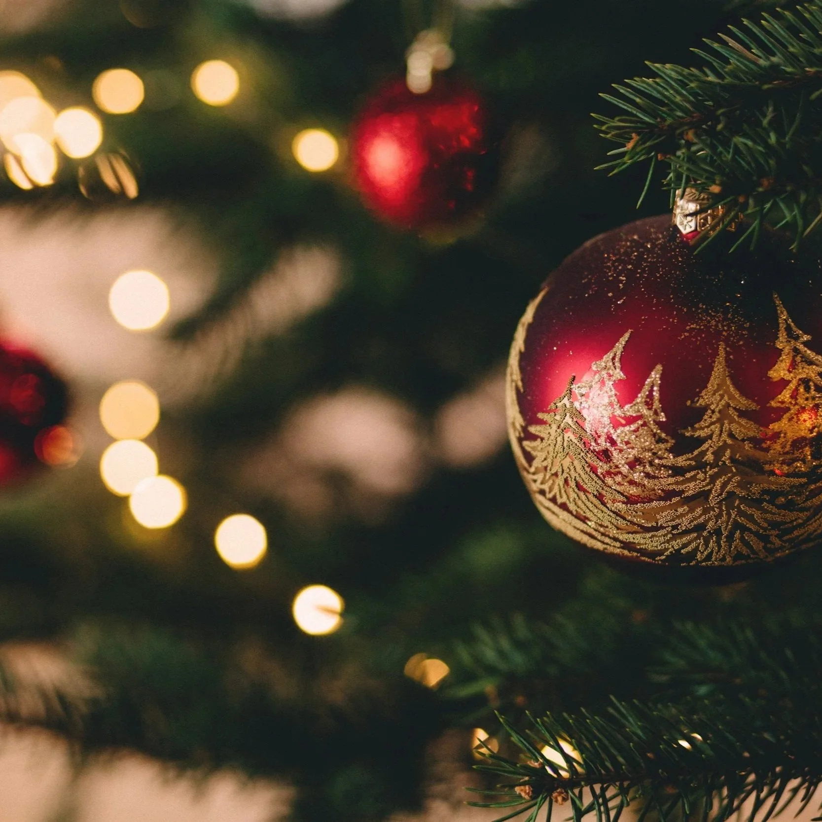 Frohe Weihnachten und einen guten Rutsch ins Jahr 2025!