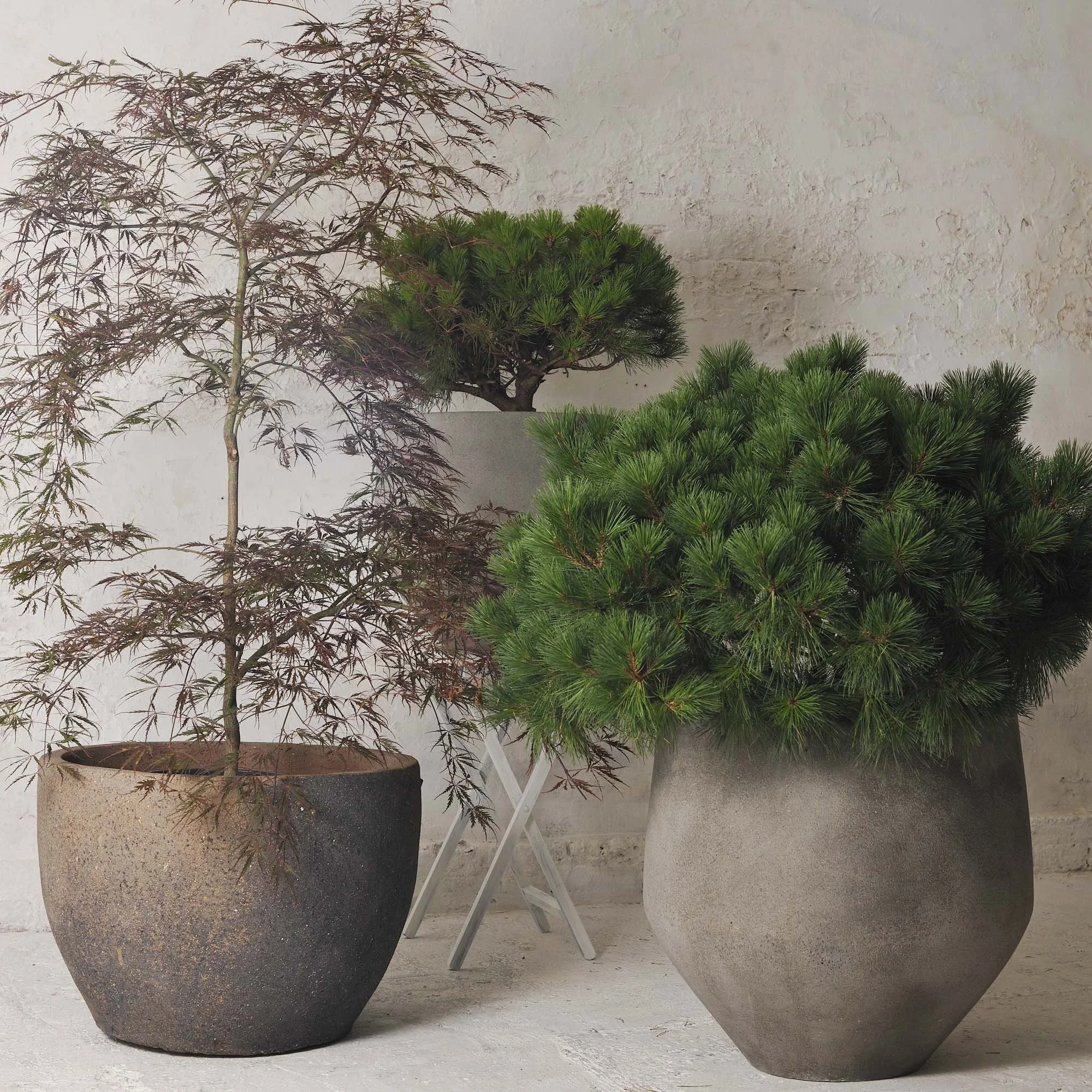 potted gardens.jpg