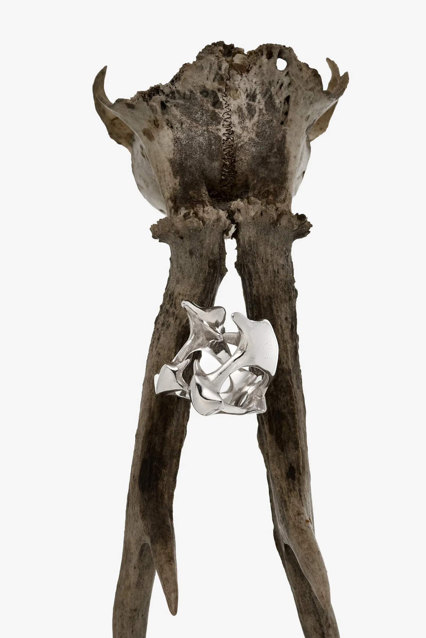 BONES / ZDENĚK VACEK