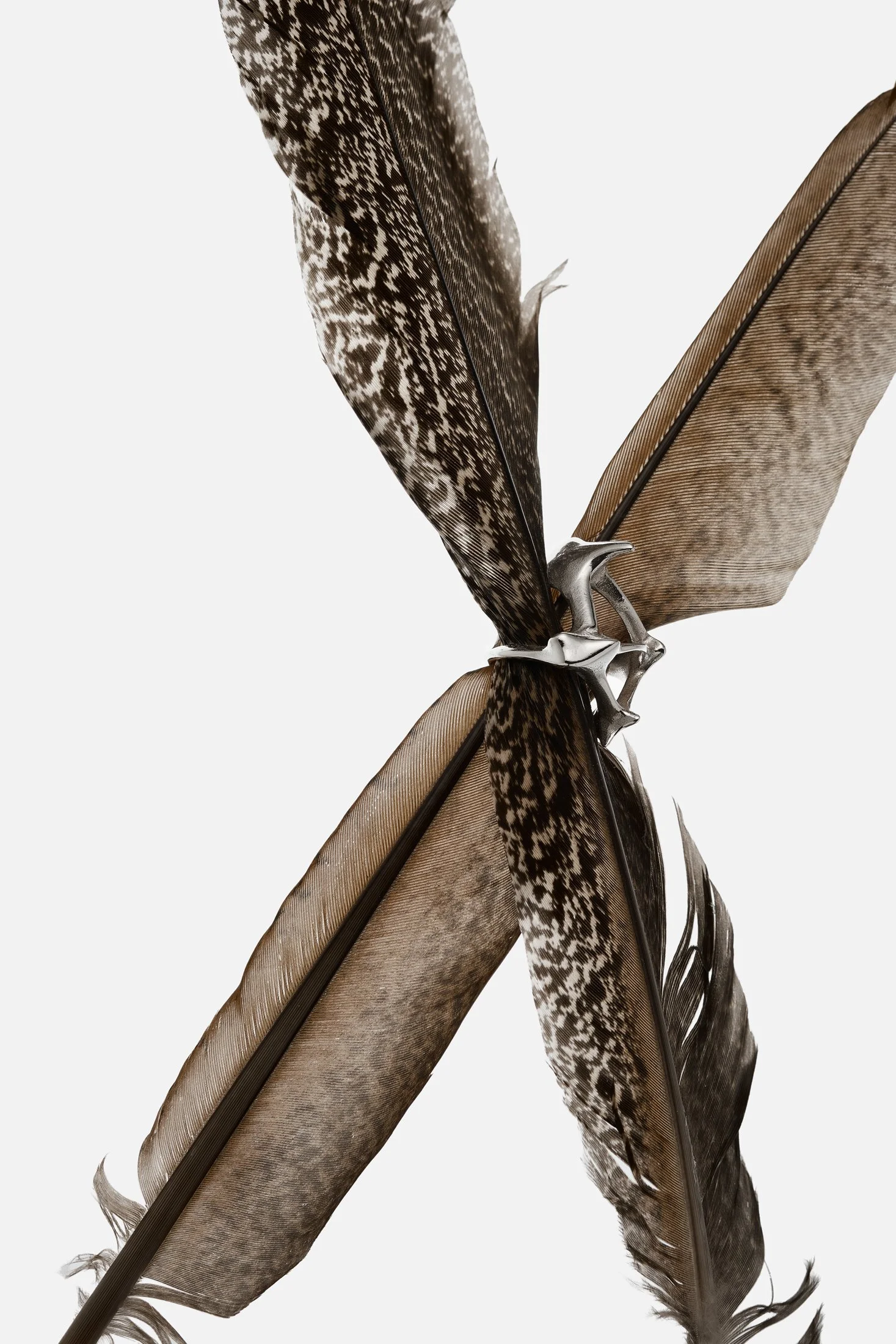 ZDENĚK VACEK / SILVER GEN