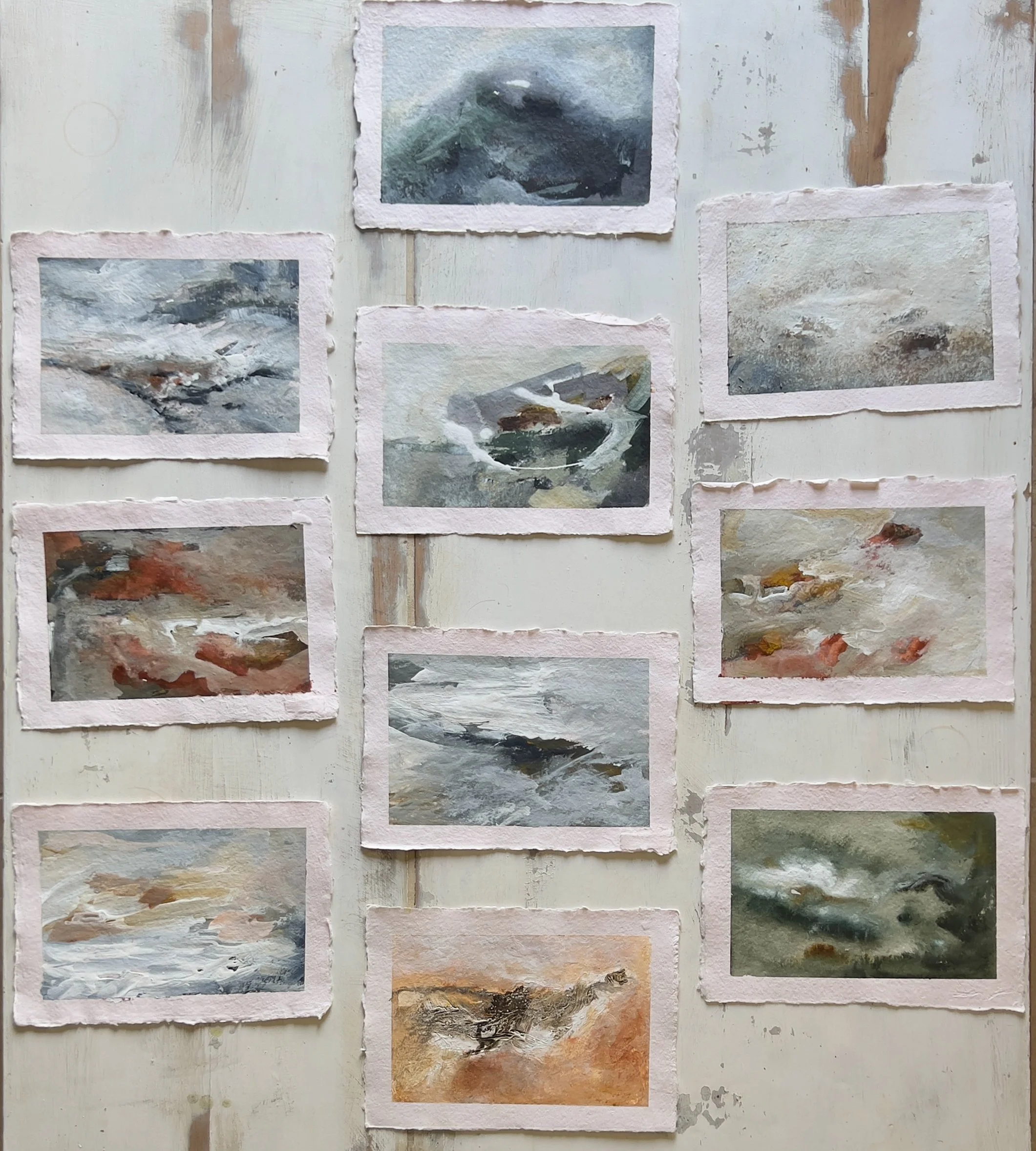 Collection 5: 'Wild'