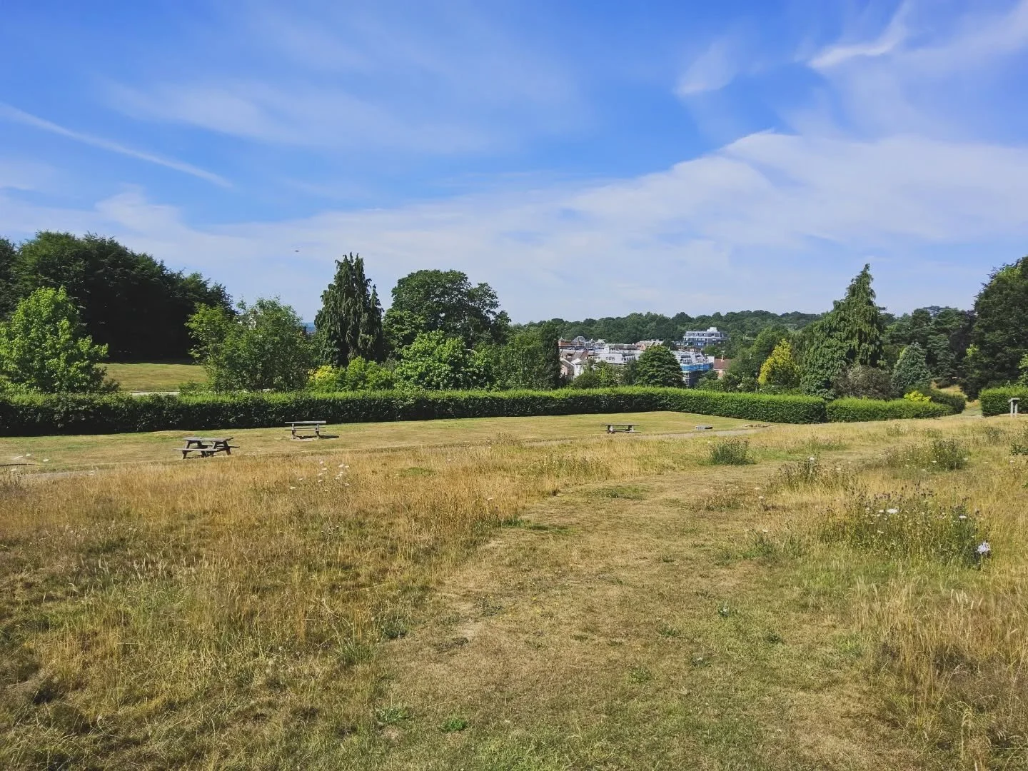 Last week we hosted a brilliant sixth form student at our studio for work experience. 

They were set the task of coming up with a concept 
for the picnic area at our local park &ndash; learning all about how we approach Site assessments, concept de