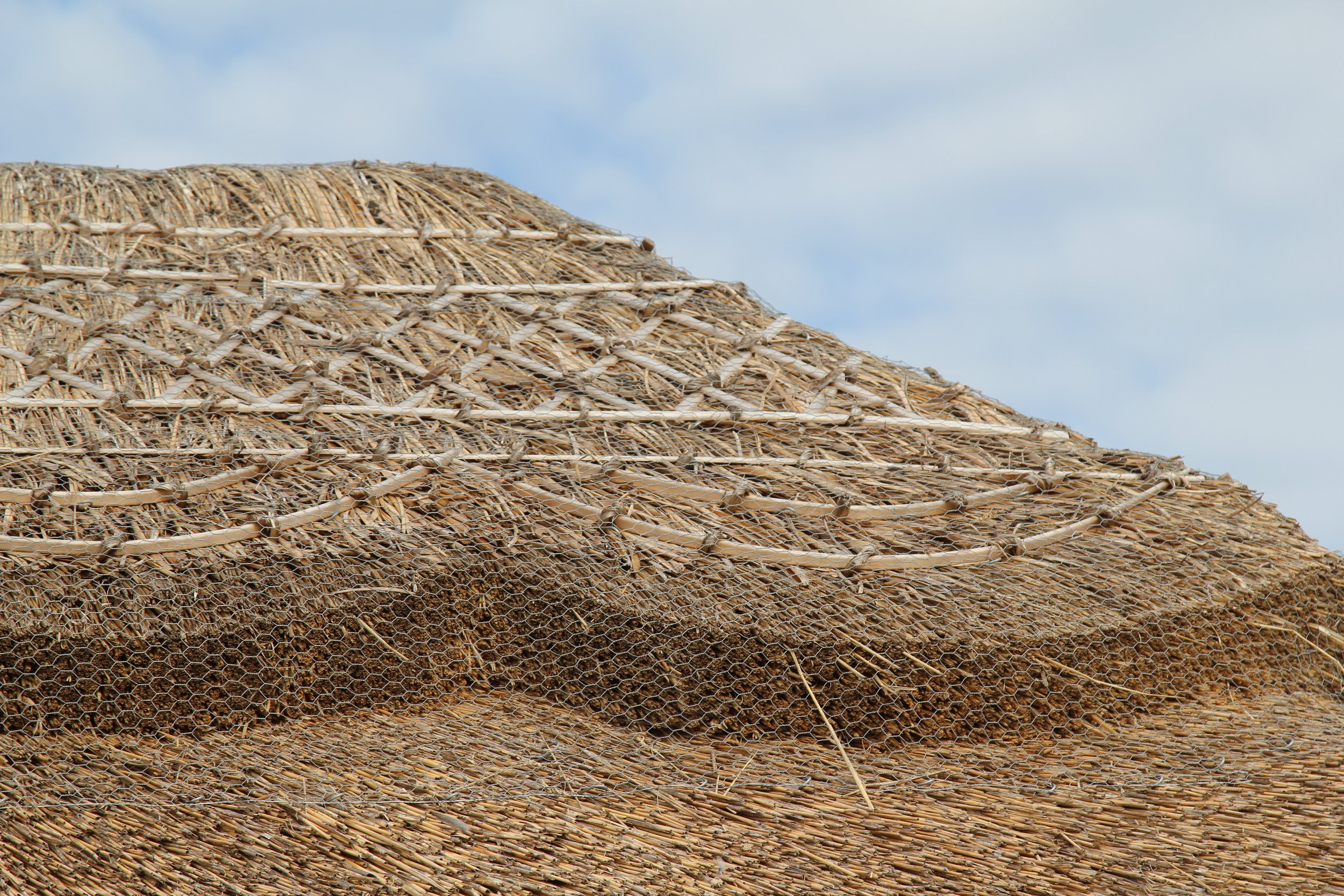 14 Restored structures using local thatch by Allen Scott.JPG
