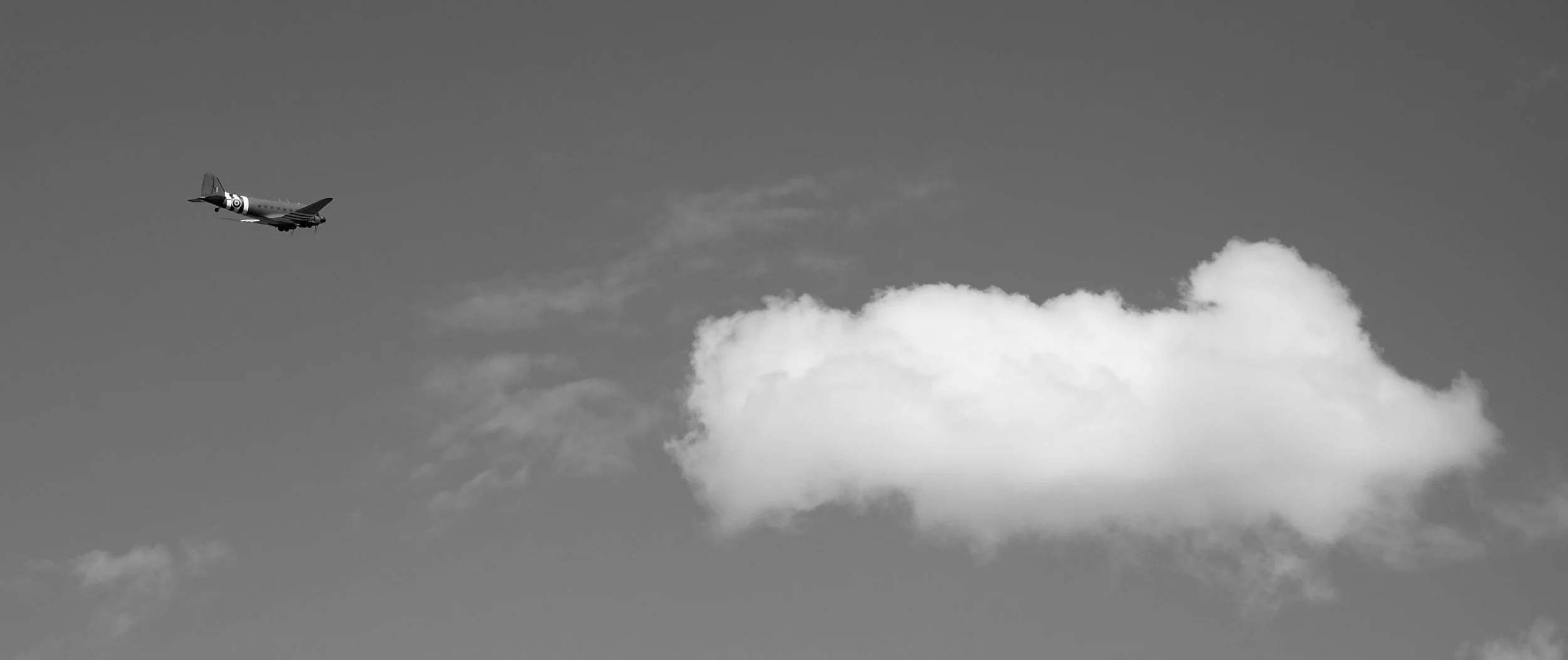 Flights of old glide across a clouded sky, histories journey will repeat if wisdom fails