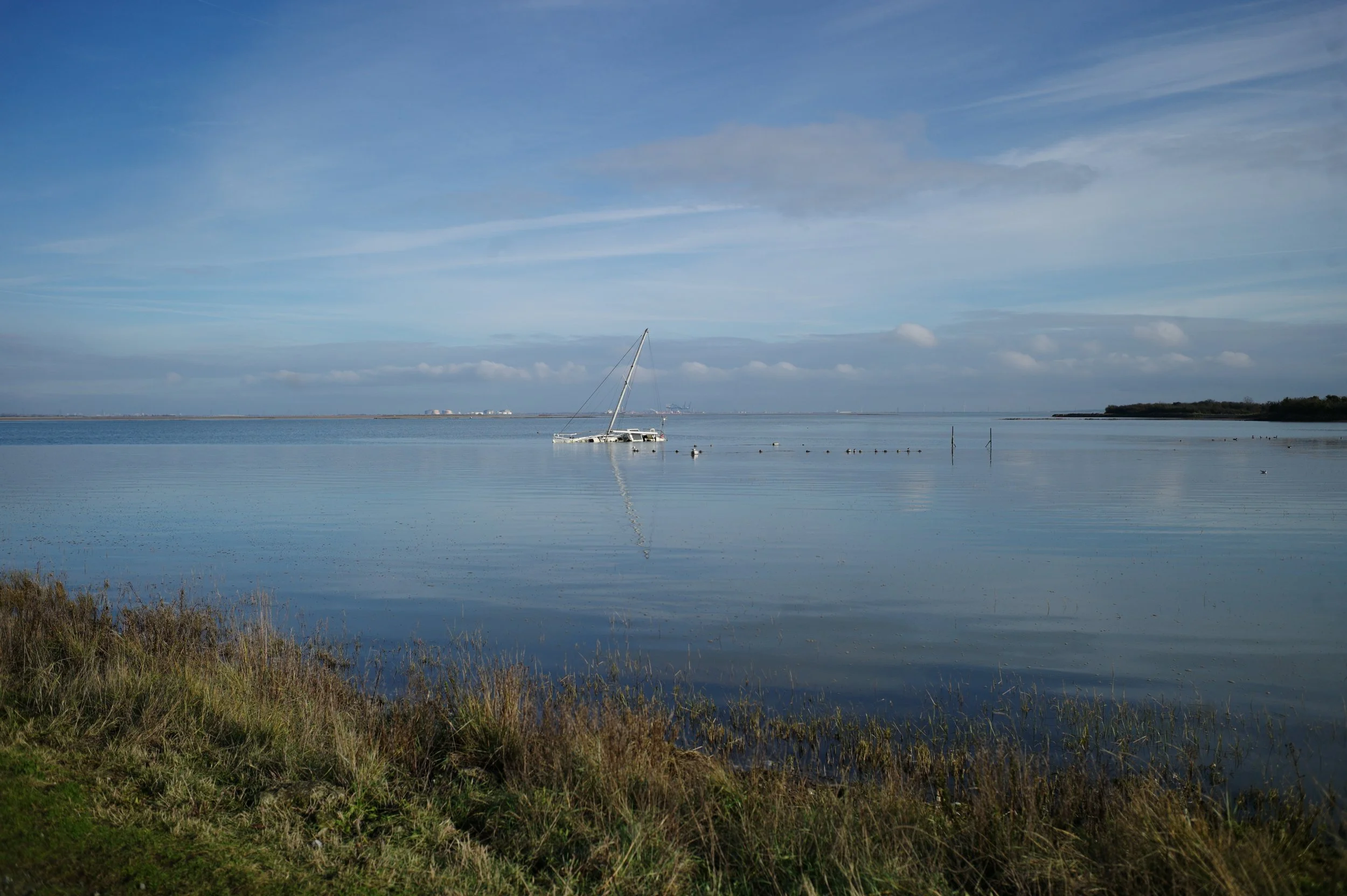 Where boats linger in the blue.