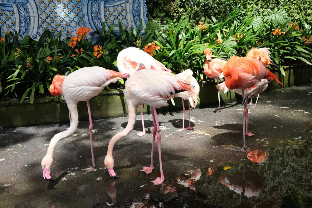 DSCF6518.JPG