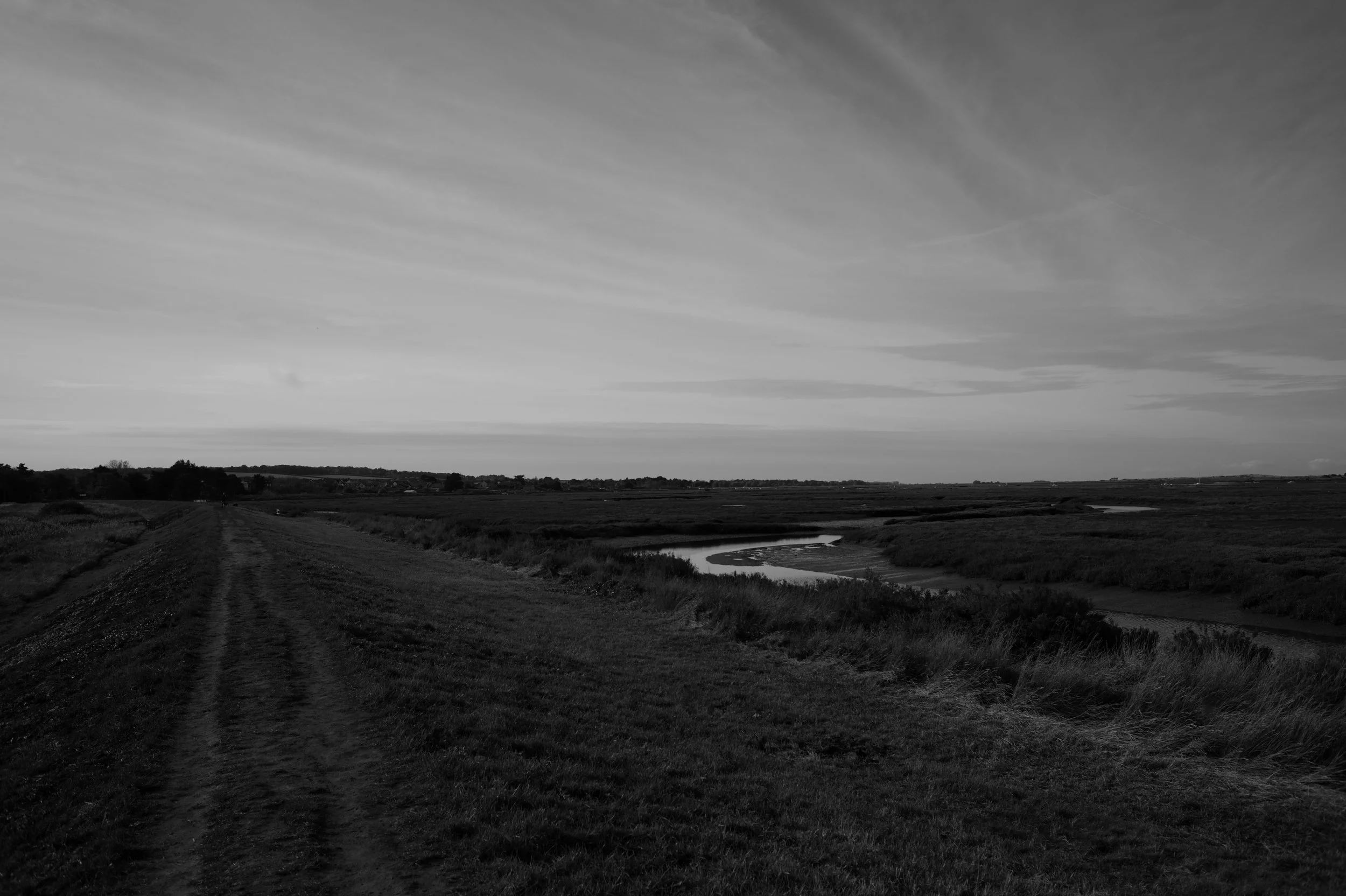 L9679428.JPG