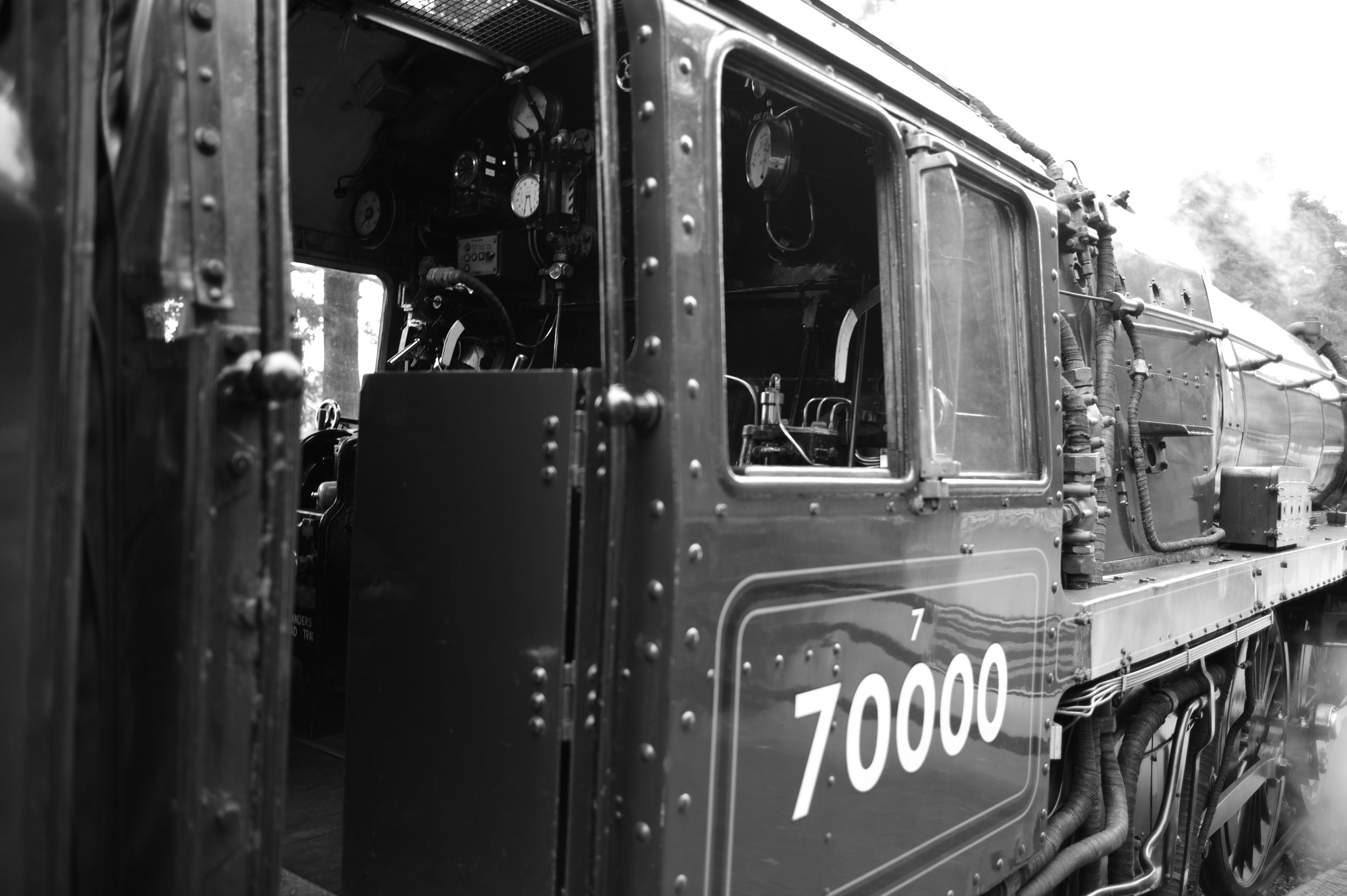 L9679512.JPG