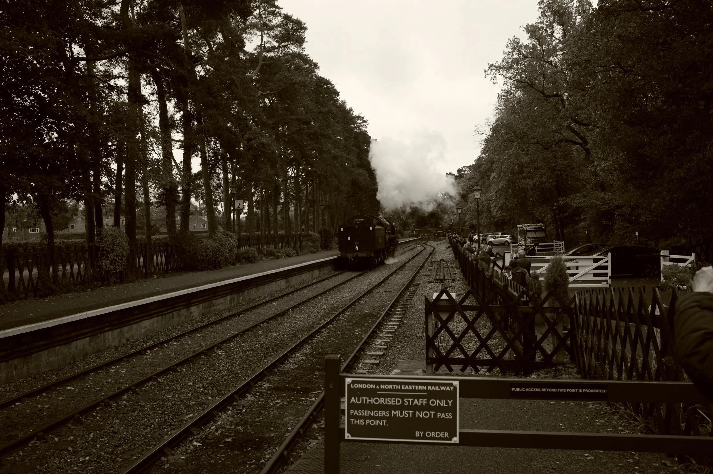 L9679521.JPG