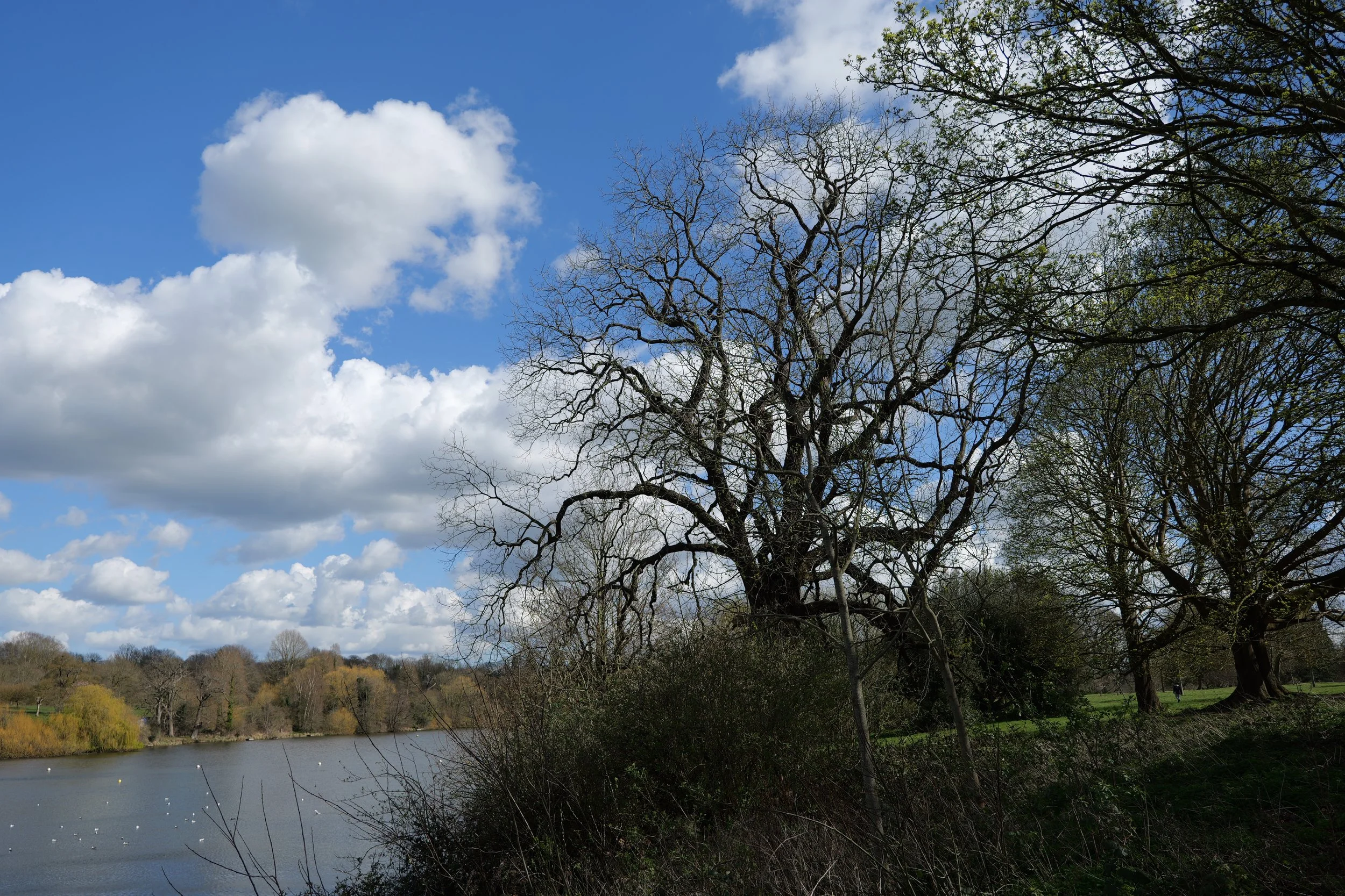 28th March 2026 Mote Park