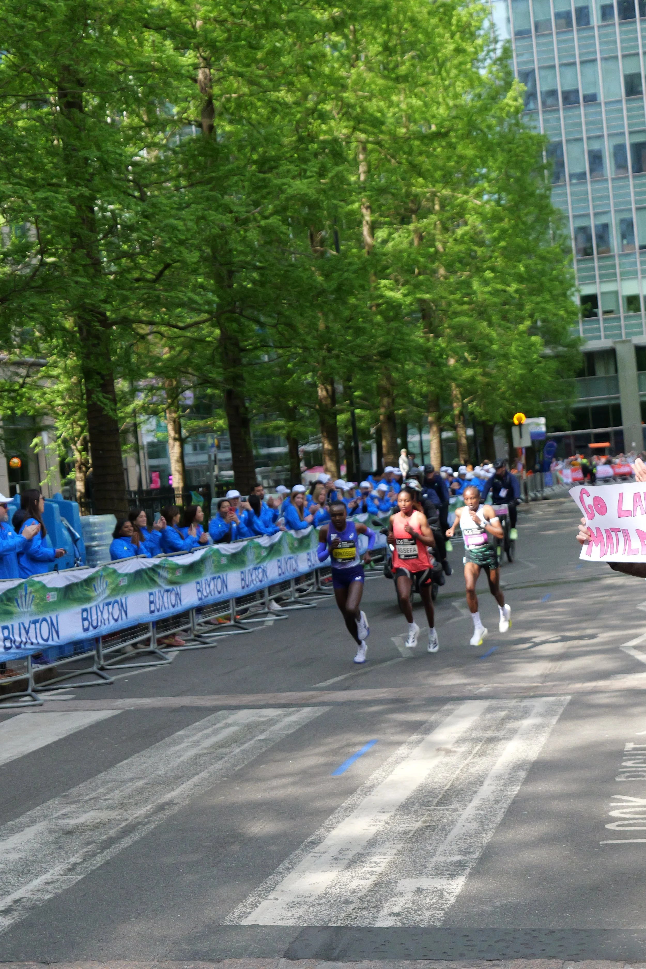 P1029983.JPG