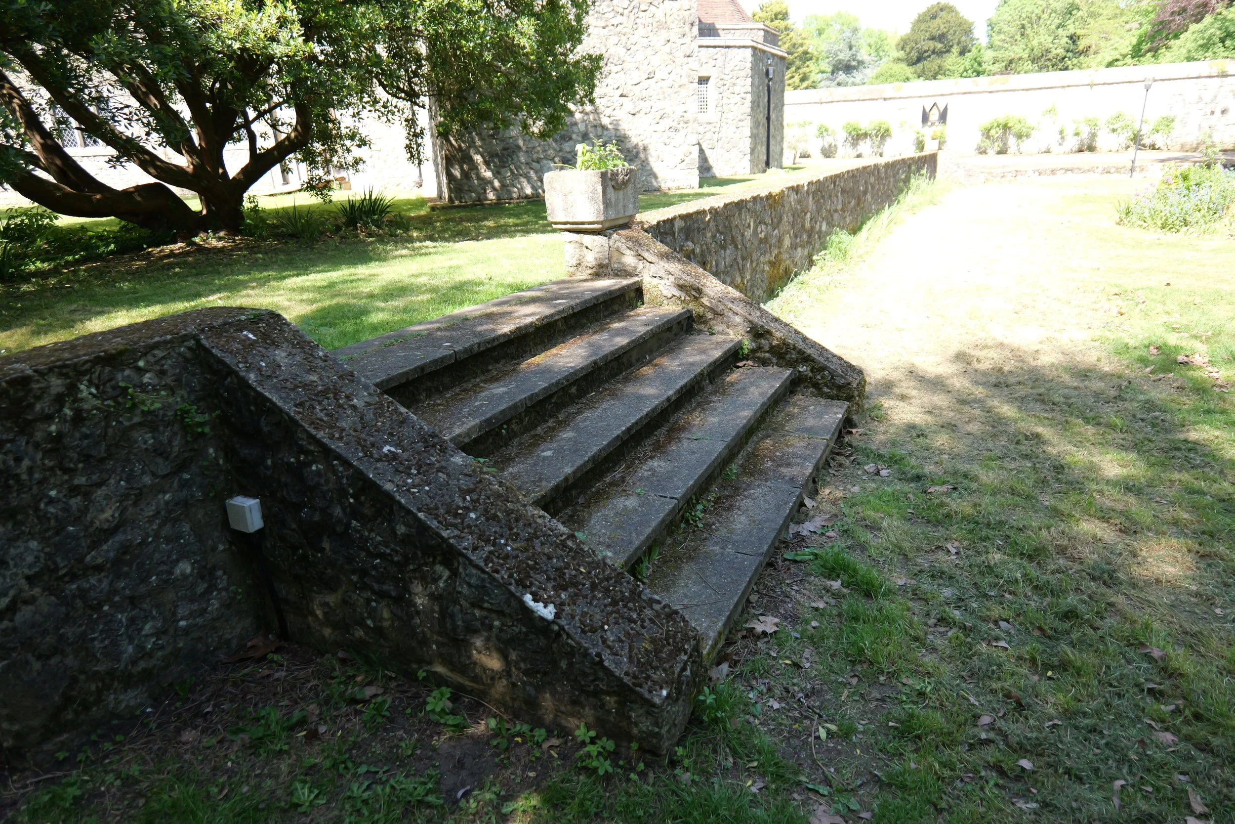 P1040290.JPG