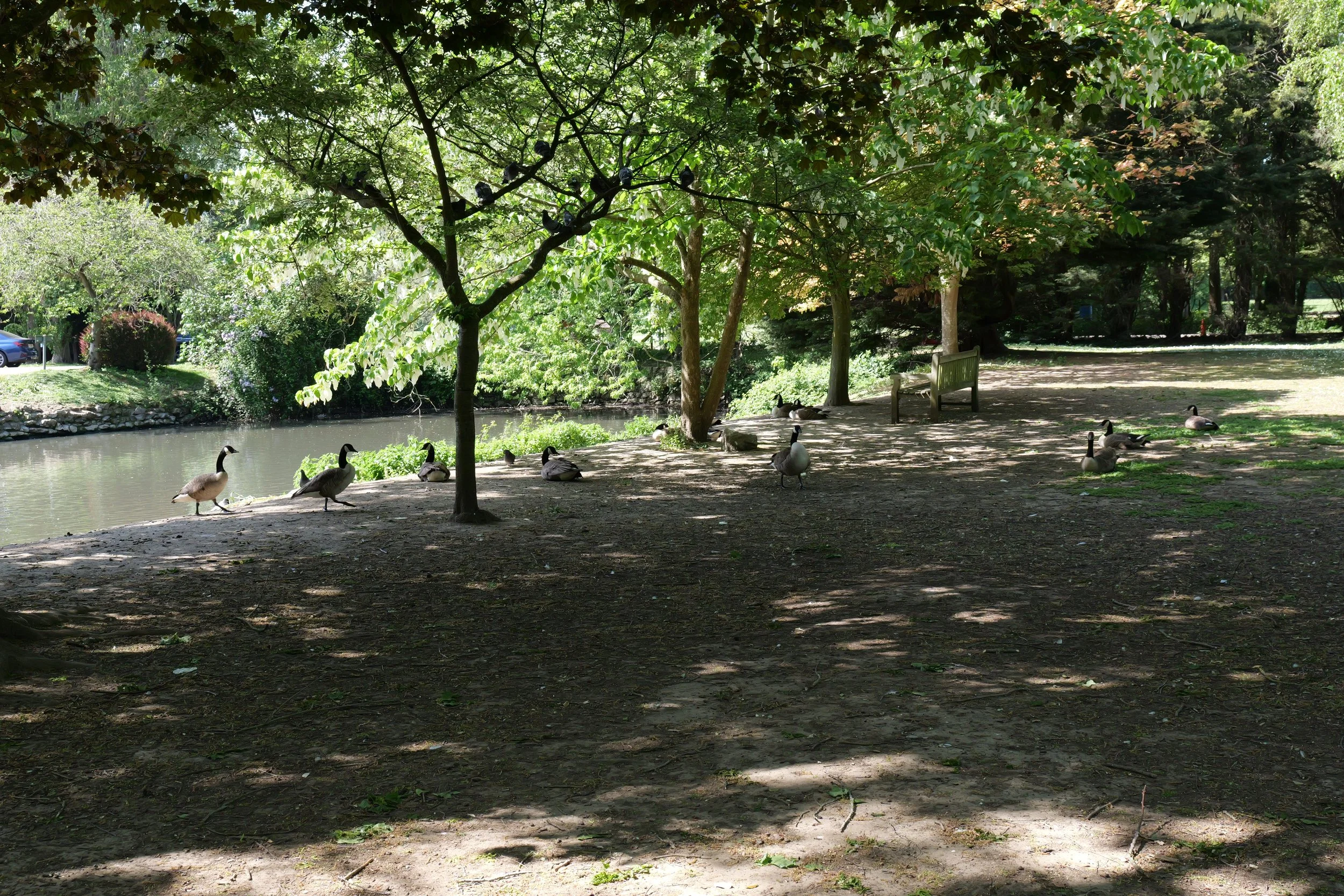 P1040311.JPG