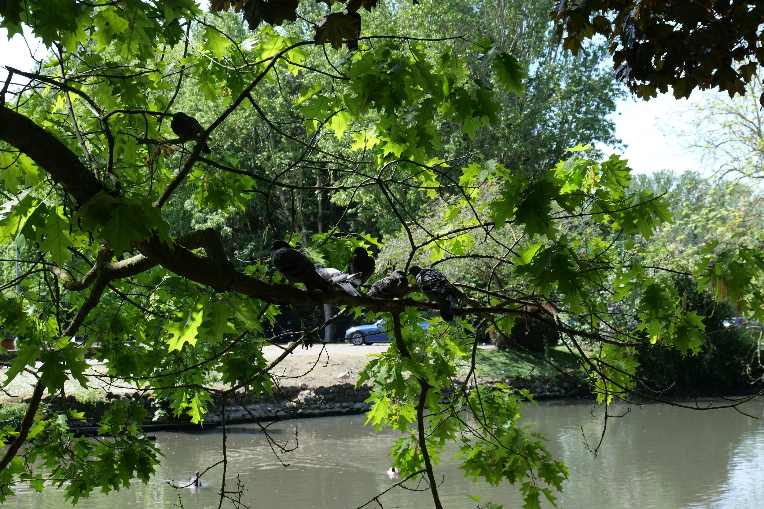P1040314.JPG