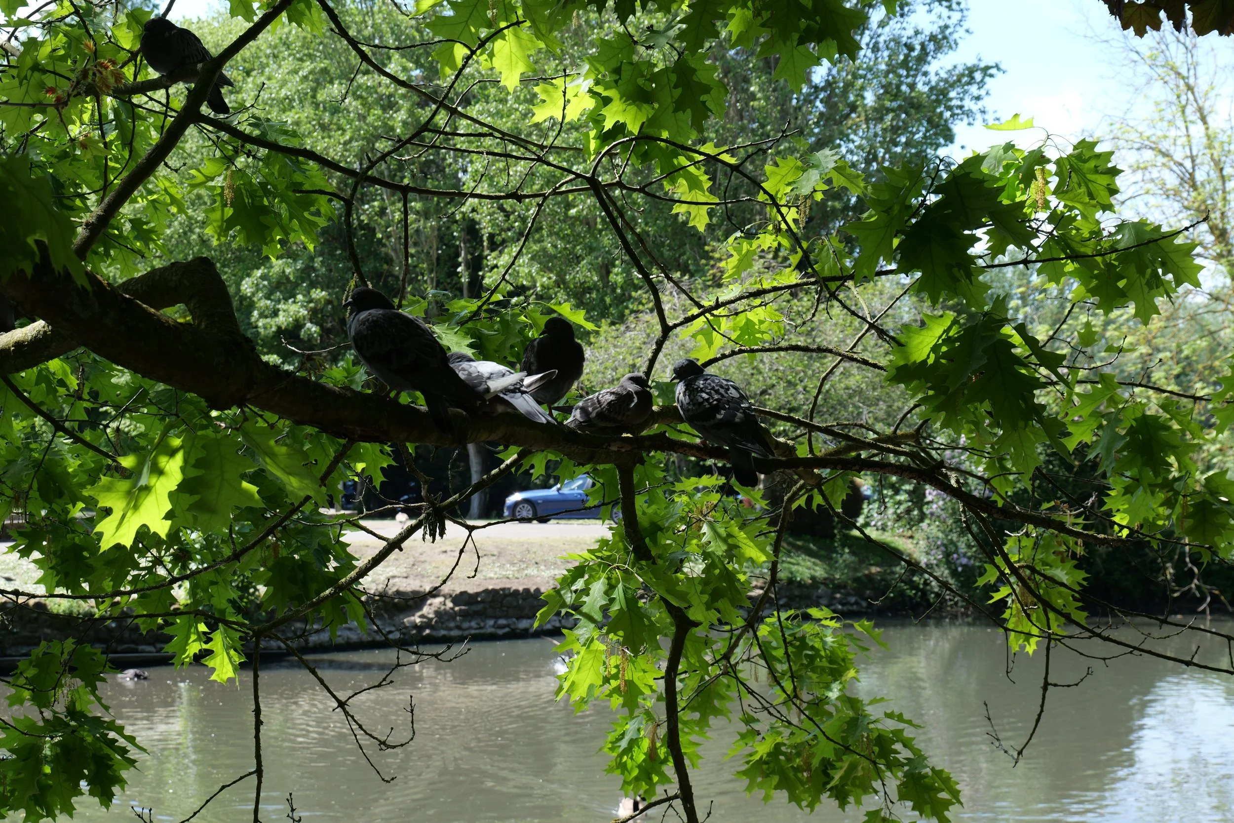P1040315.JPG