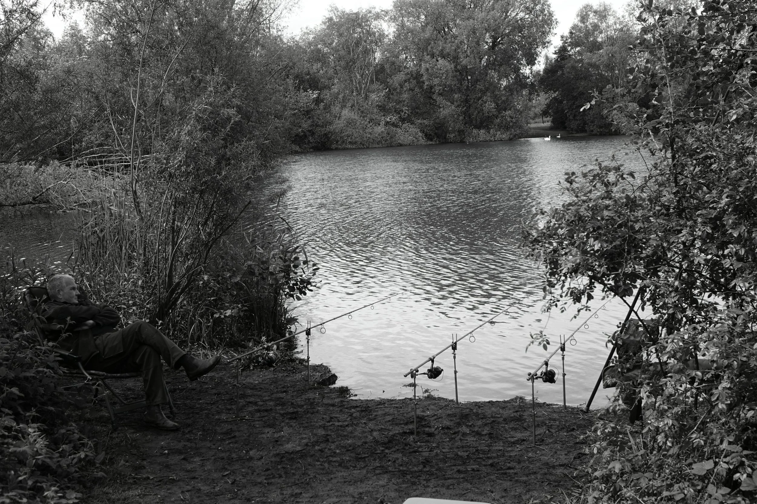 DSC00293bw.JPG