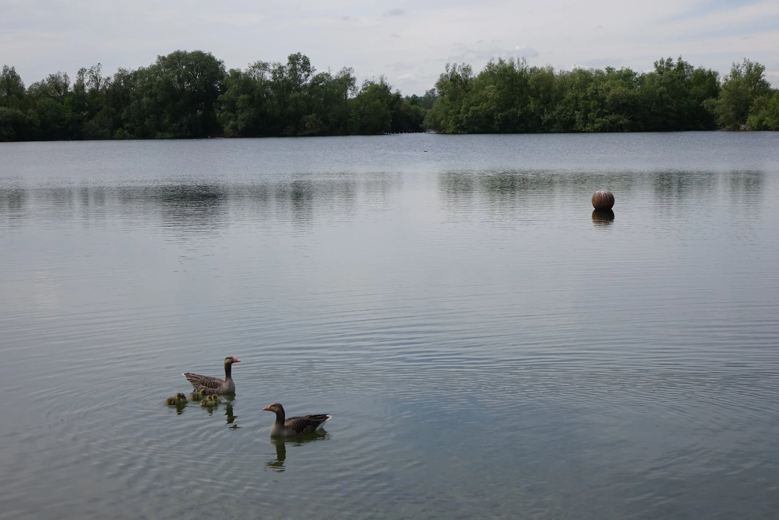 DSC00261.JPG