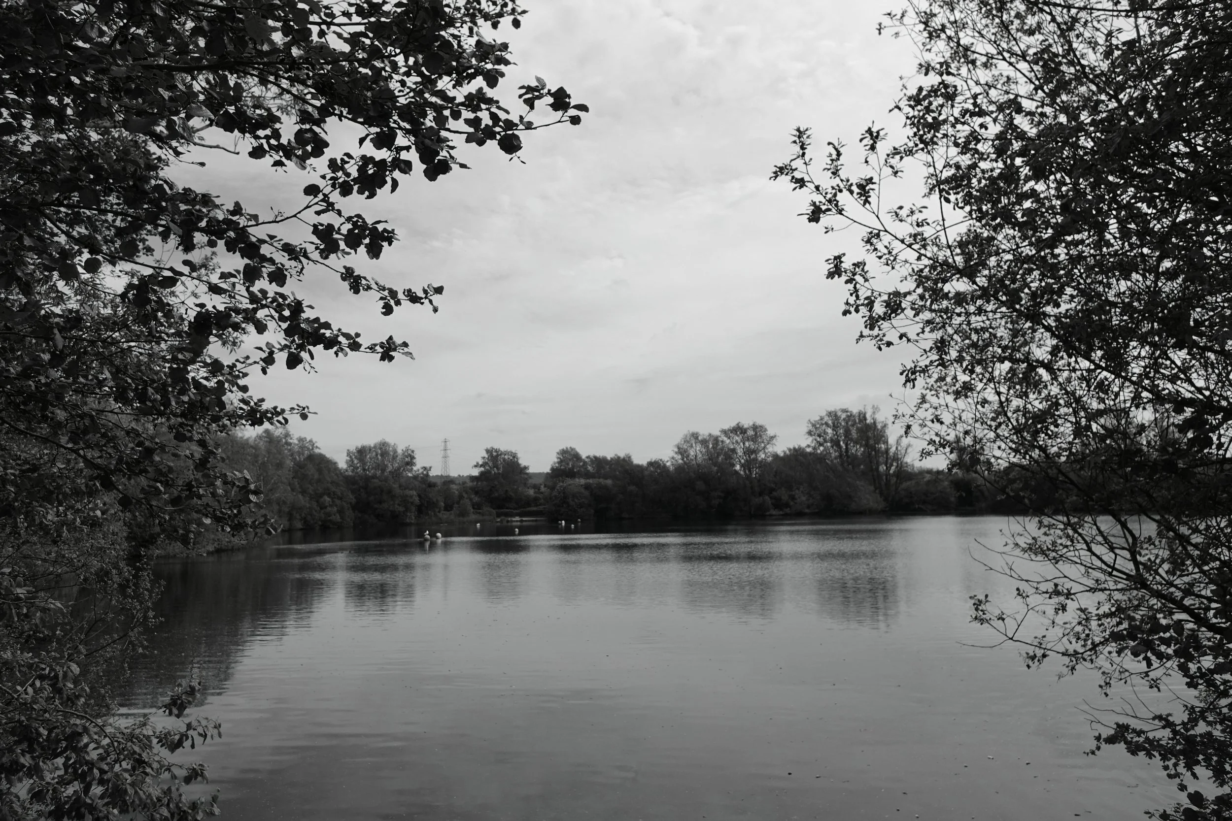 DSC00247.JPG